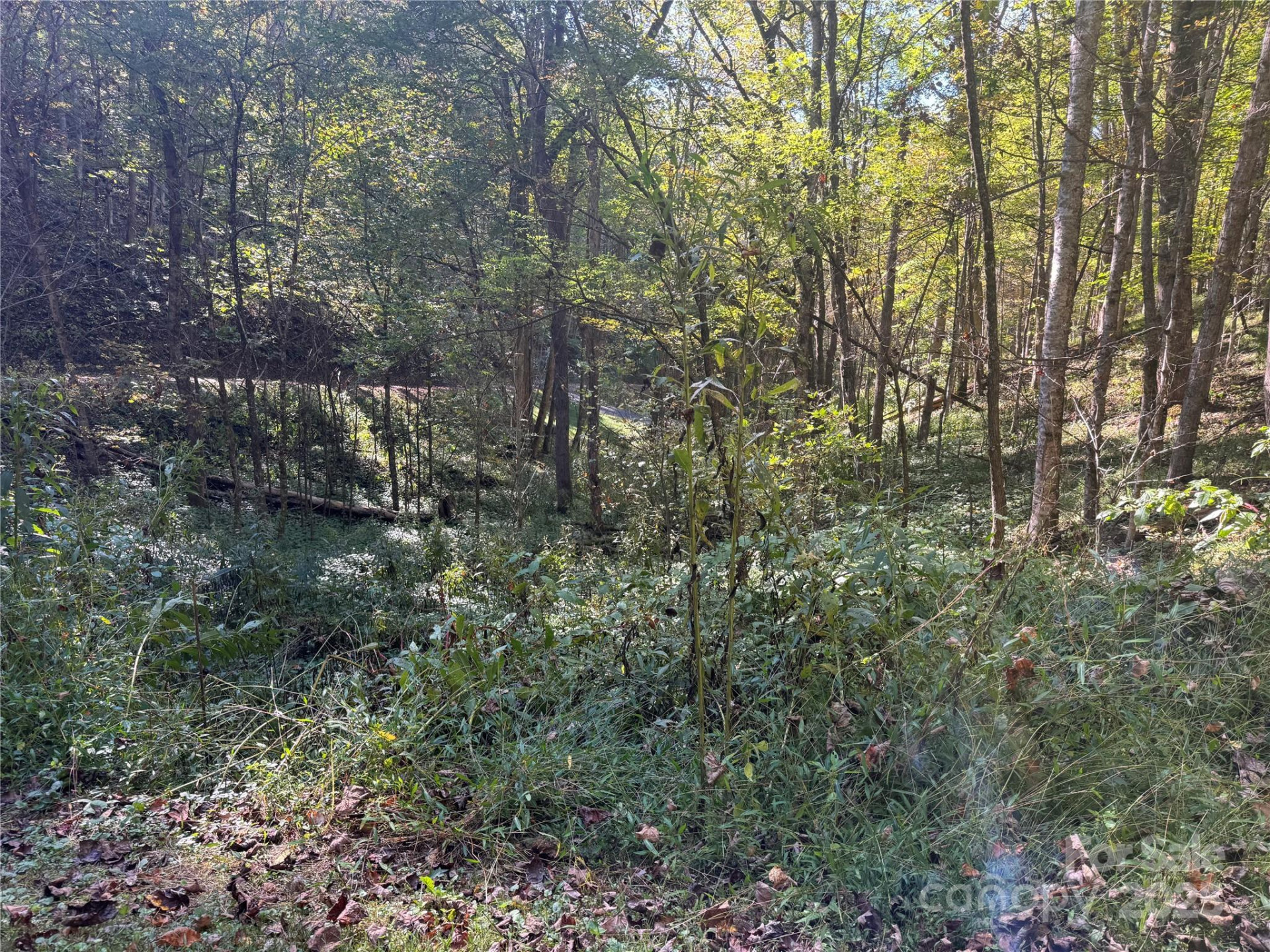 9 Susanna Cove - Photo 5