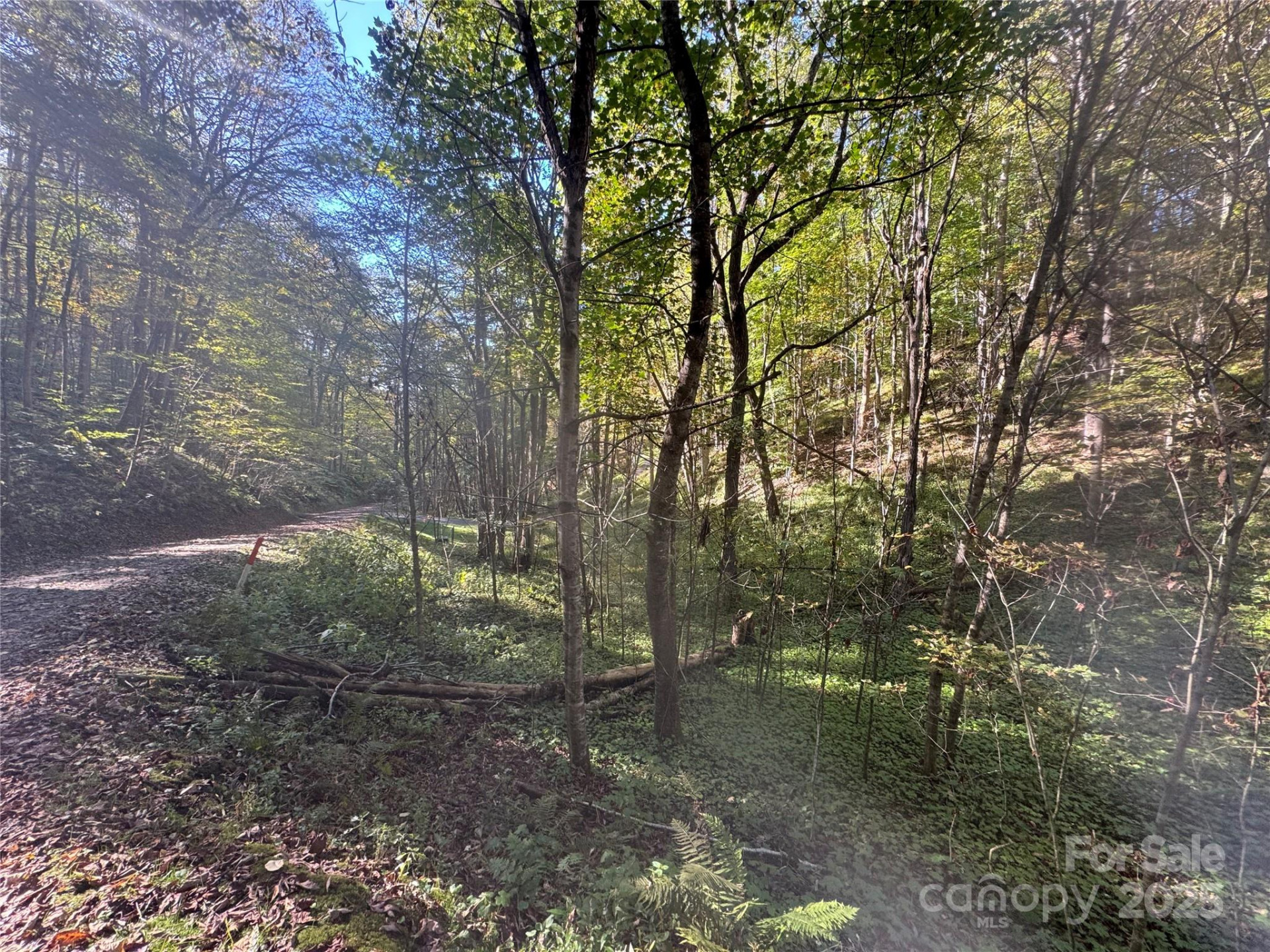 9 Susanna Cove - Photo 7