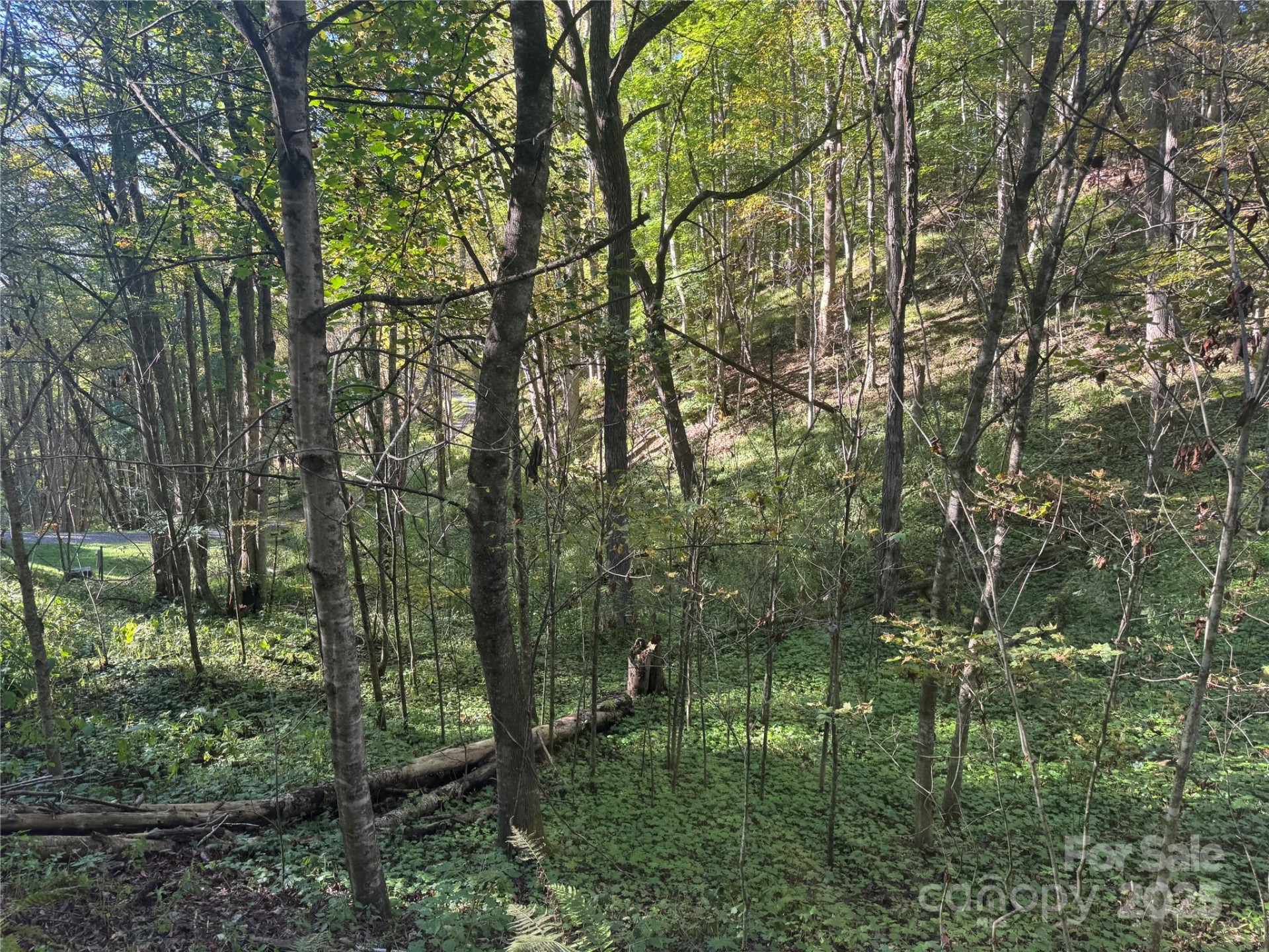 9 Susanna Cove - Photo 8