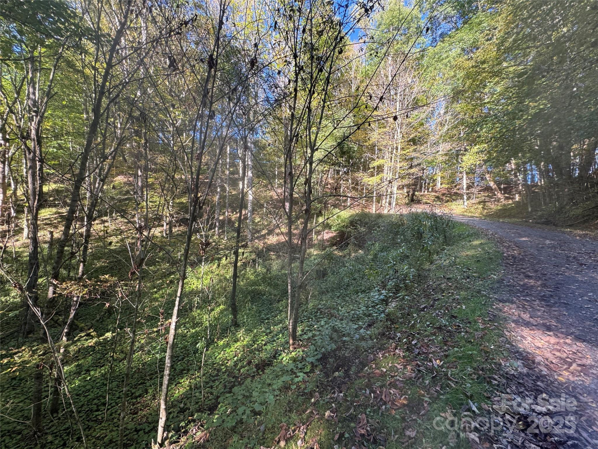 9 Susanna Cove - Photo 9