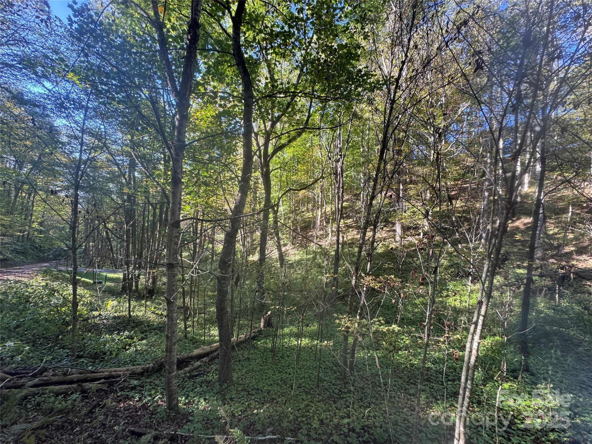 9 Susanna Cove - Photo 10