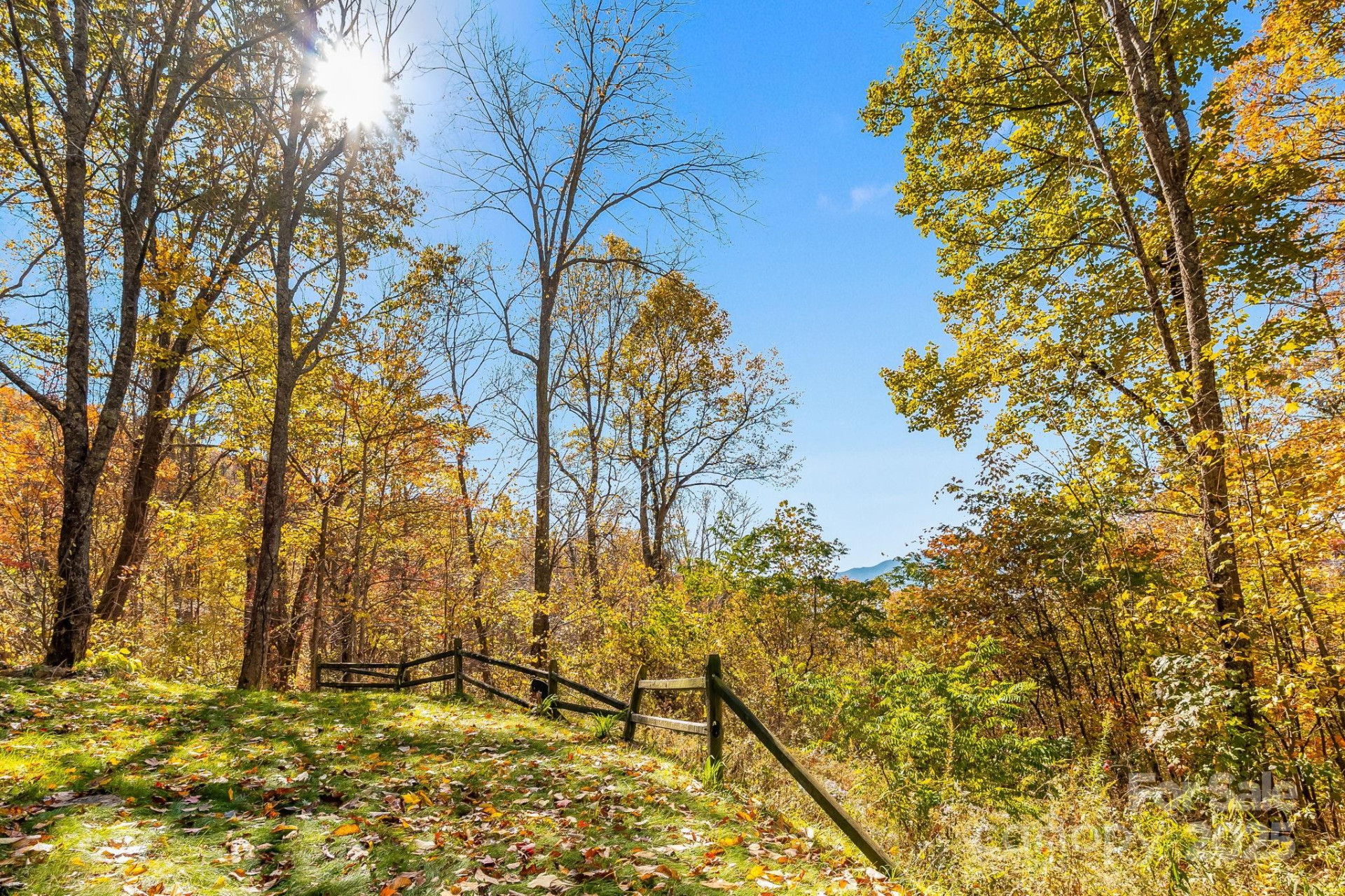 146 Promiseland Road - Photo 9