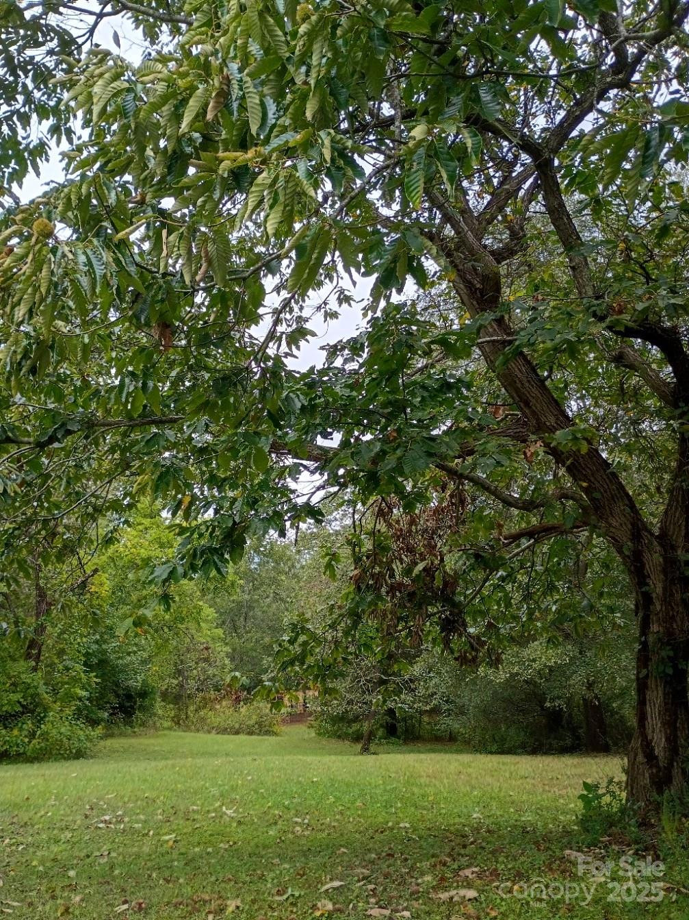 290 Wallace Road - Photo 2