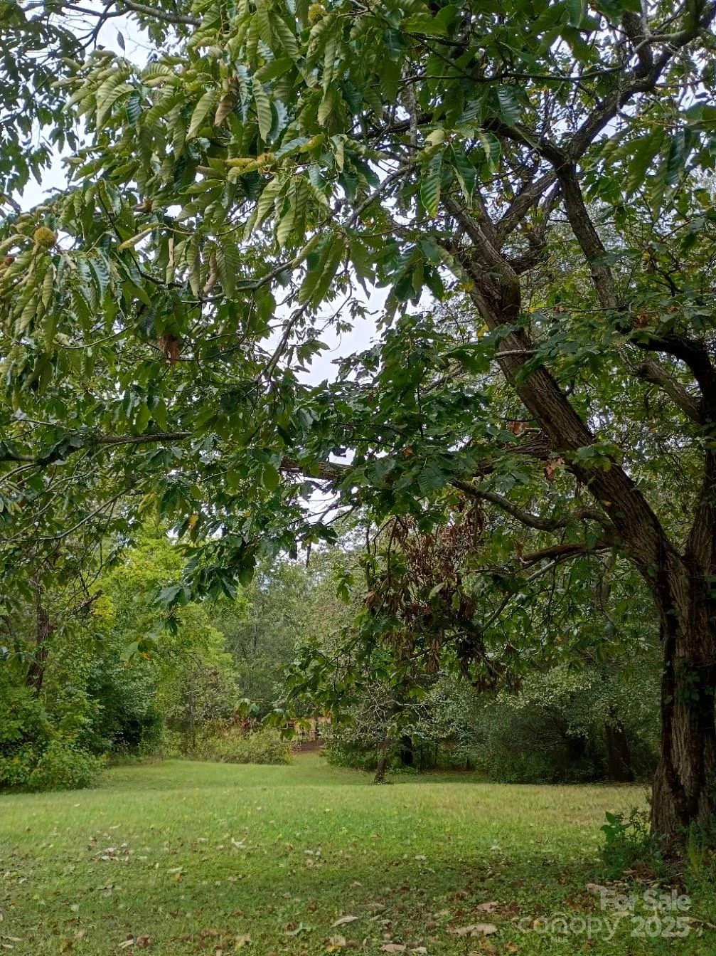 290 Wallace Road - Photo 2