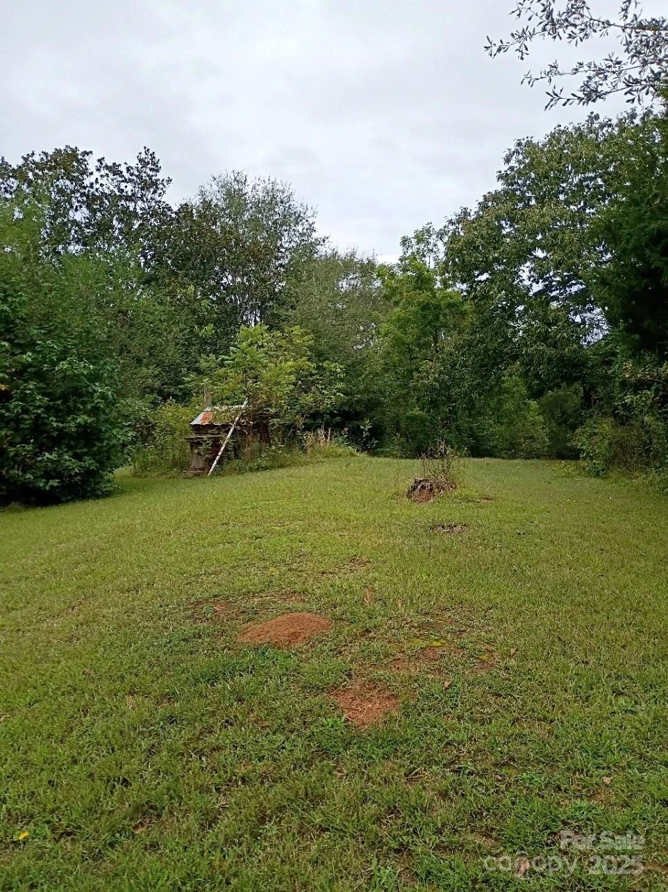 290 Wallace Road - Photo 4