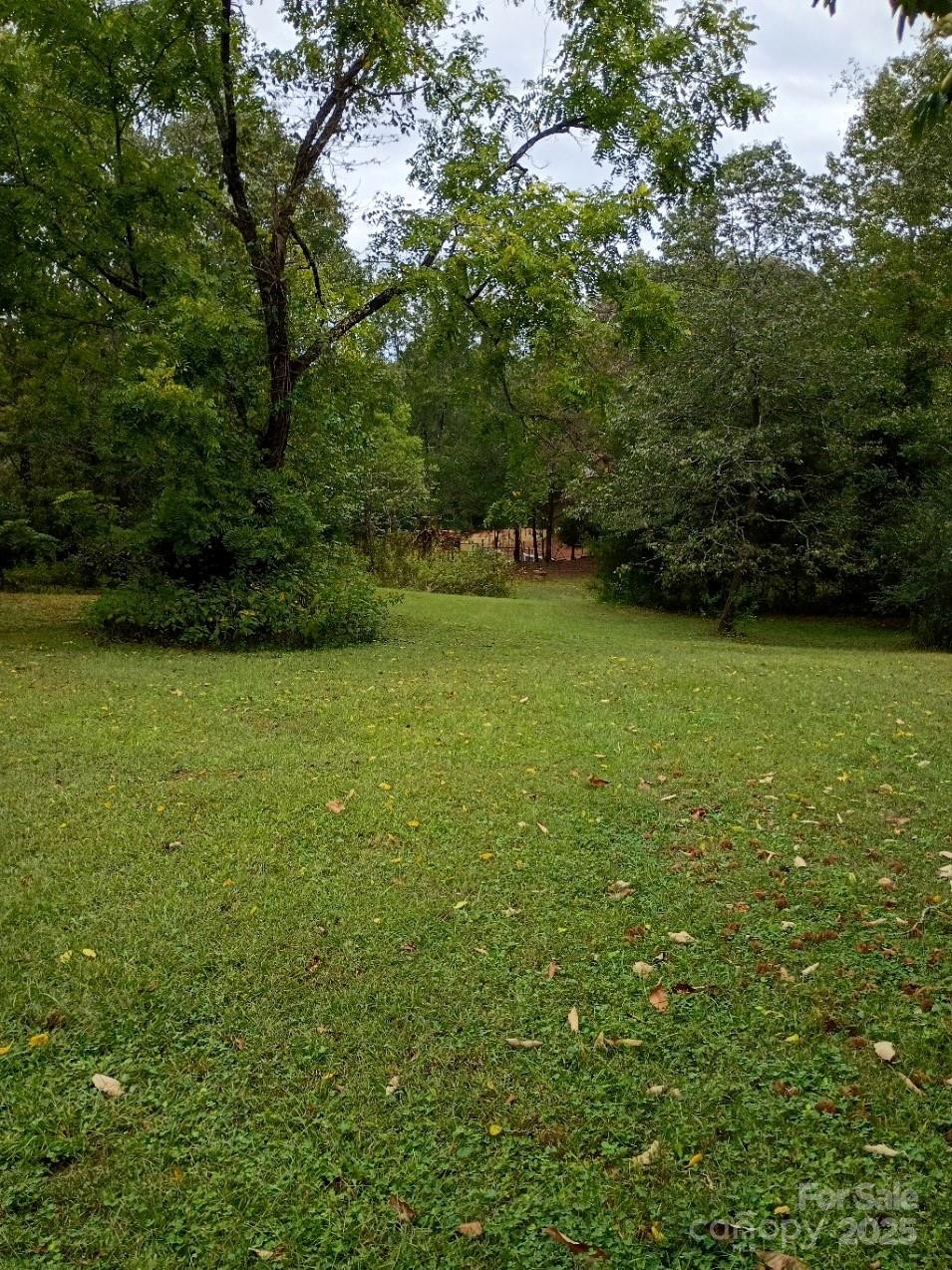 290 Wallace Road - Photo 6