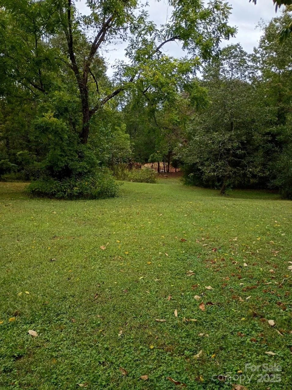 290 Wallace Road - Photo 6