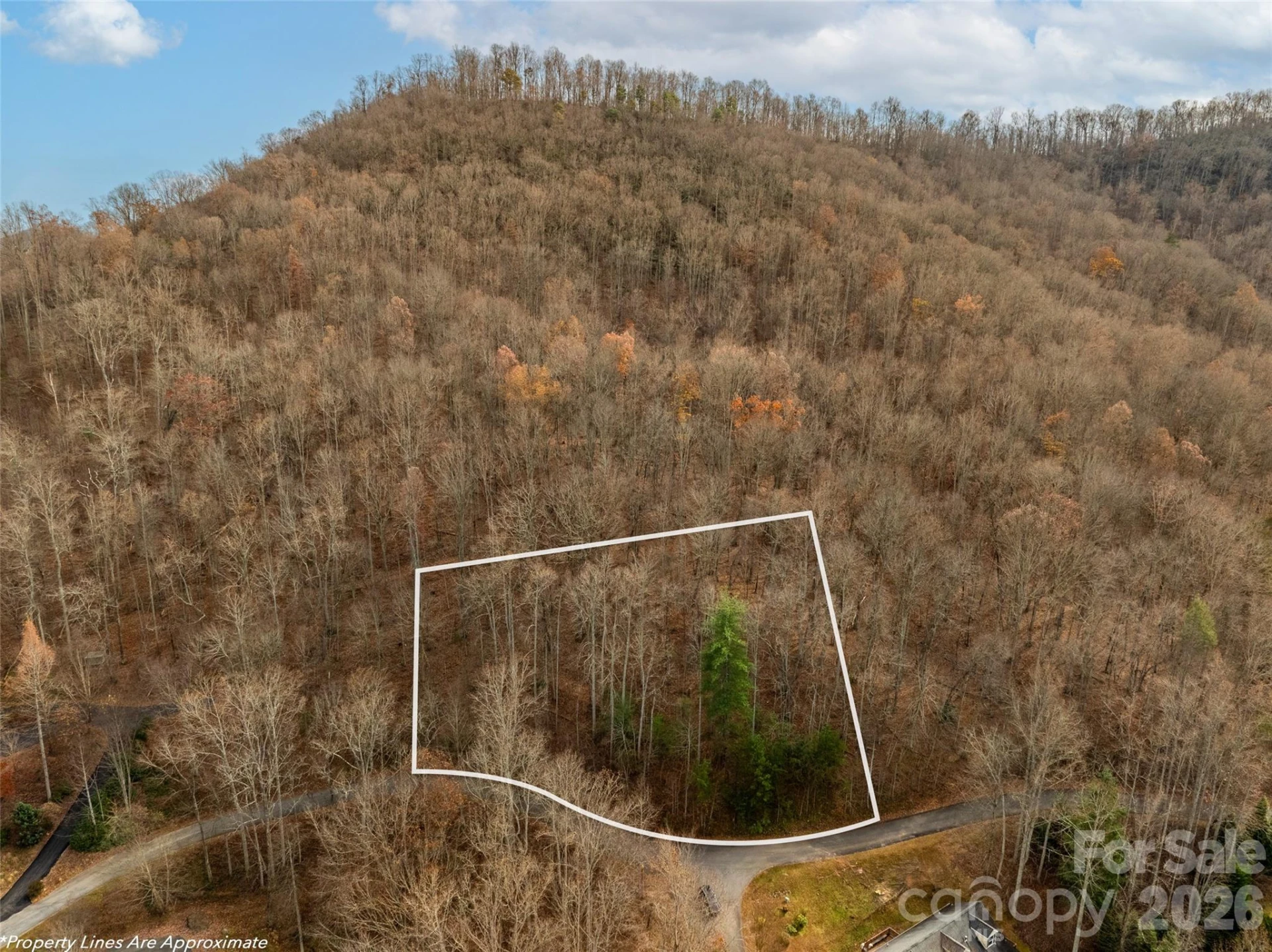75 Lindon Cove Road - Photo 11