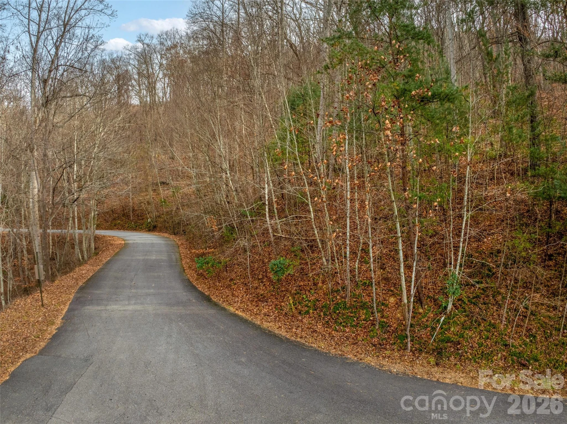 75 Lindon Cove Road - Photo 13