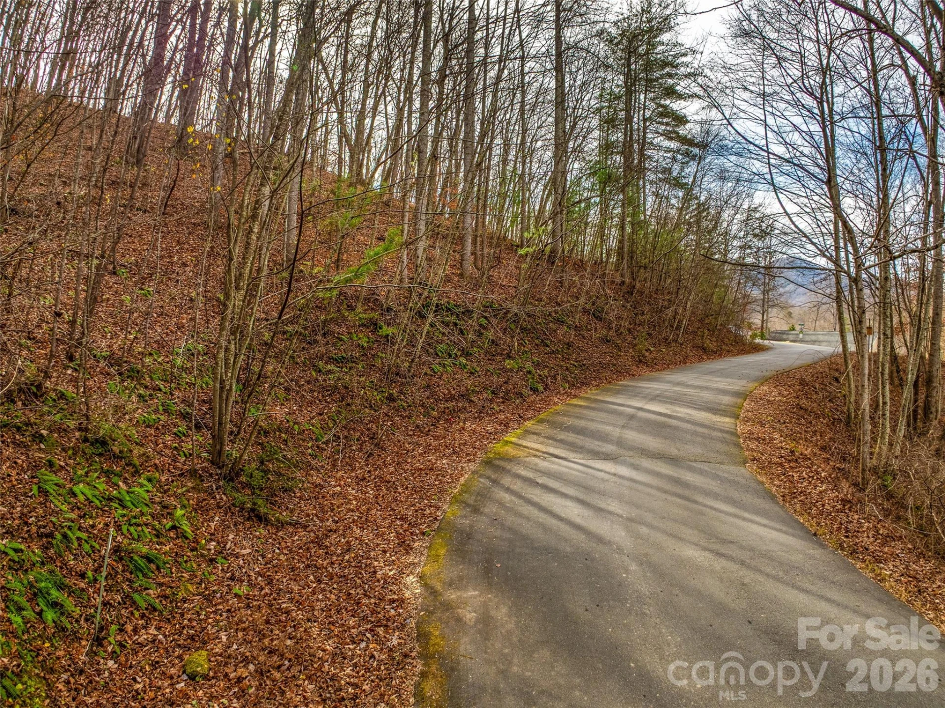 75 Lindon Cove Road - Photo 14