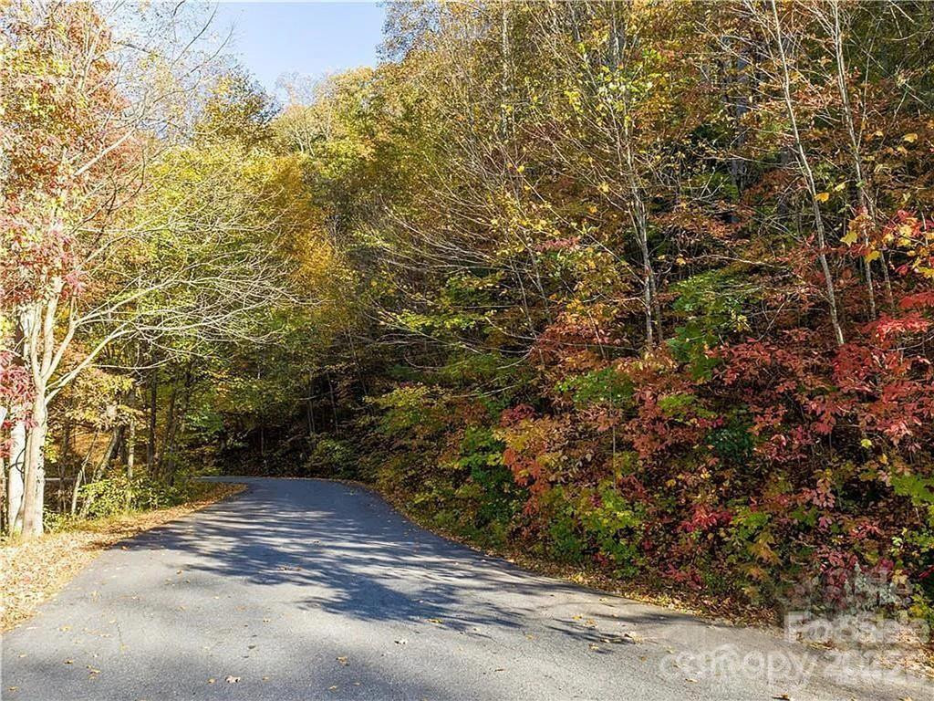 75 Lindon Cove Road - Photo 6