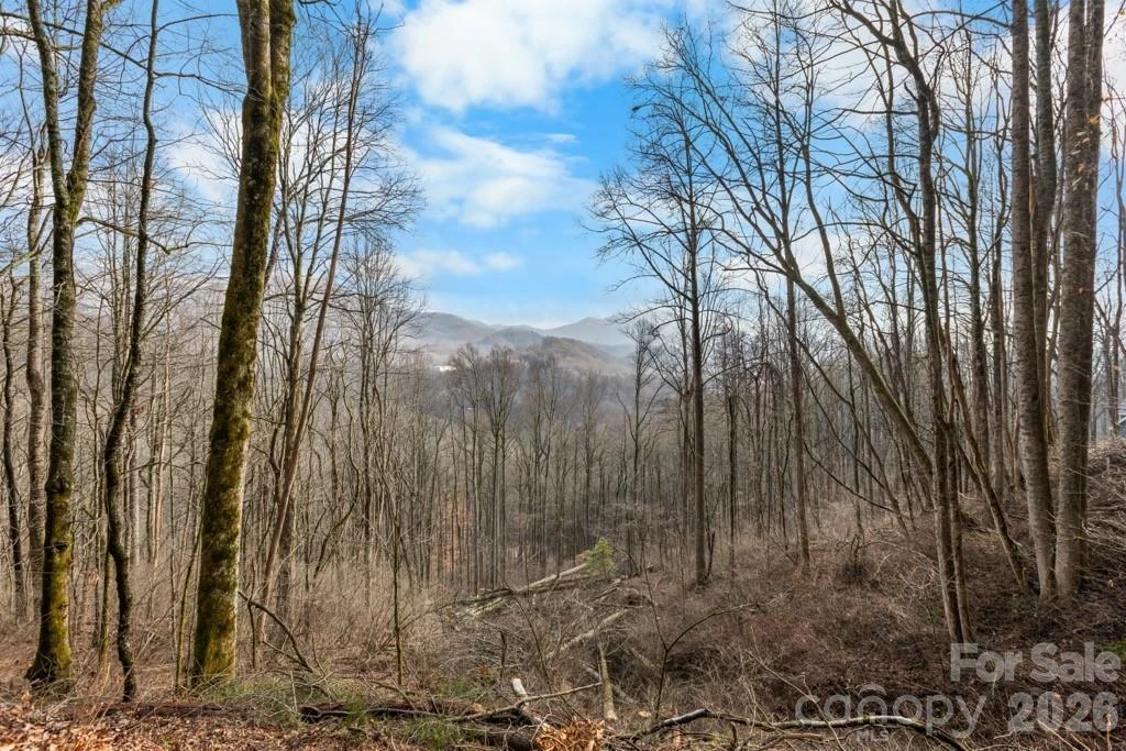 TBD Happy Ridge Lane - Photo 2