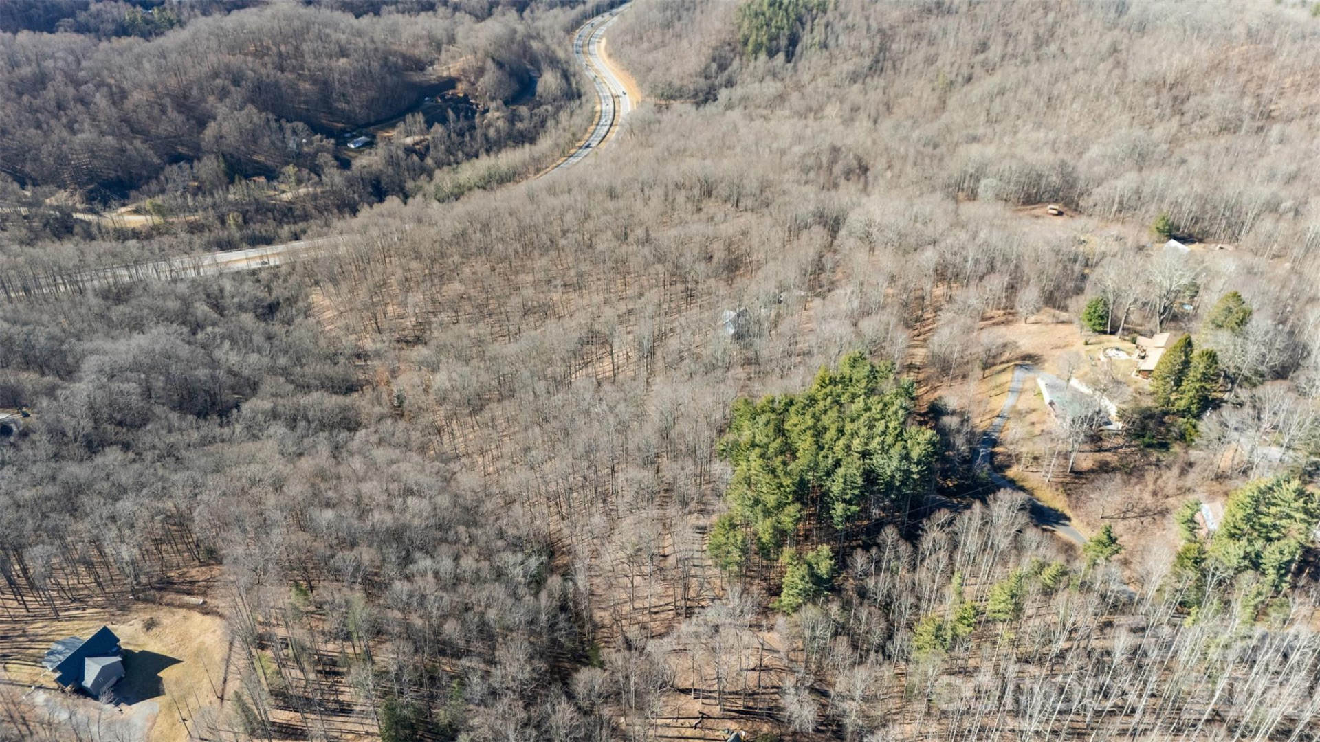 TBD Happy Ridge Lane - Photo 11