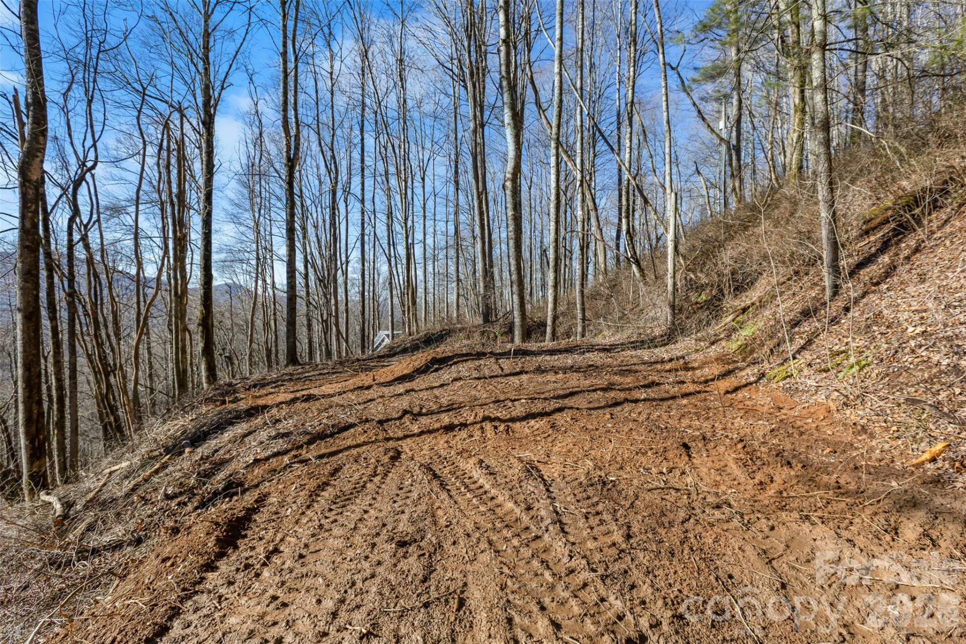 TBD Happy Ridge Lane - Photo 3