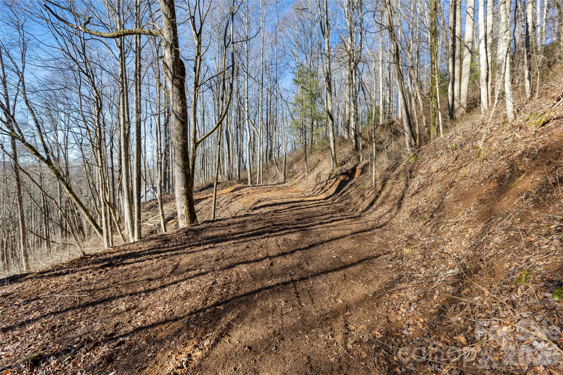 TBD Happy Ridge Lane - Photo 4