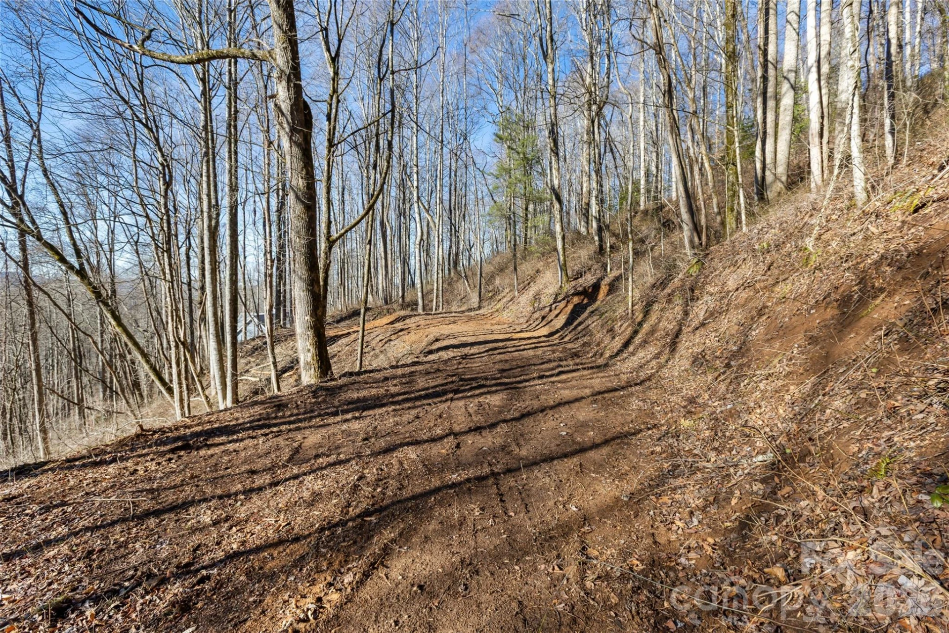 TBD Happy Ridge Lane - Photo 4