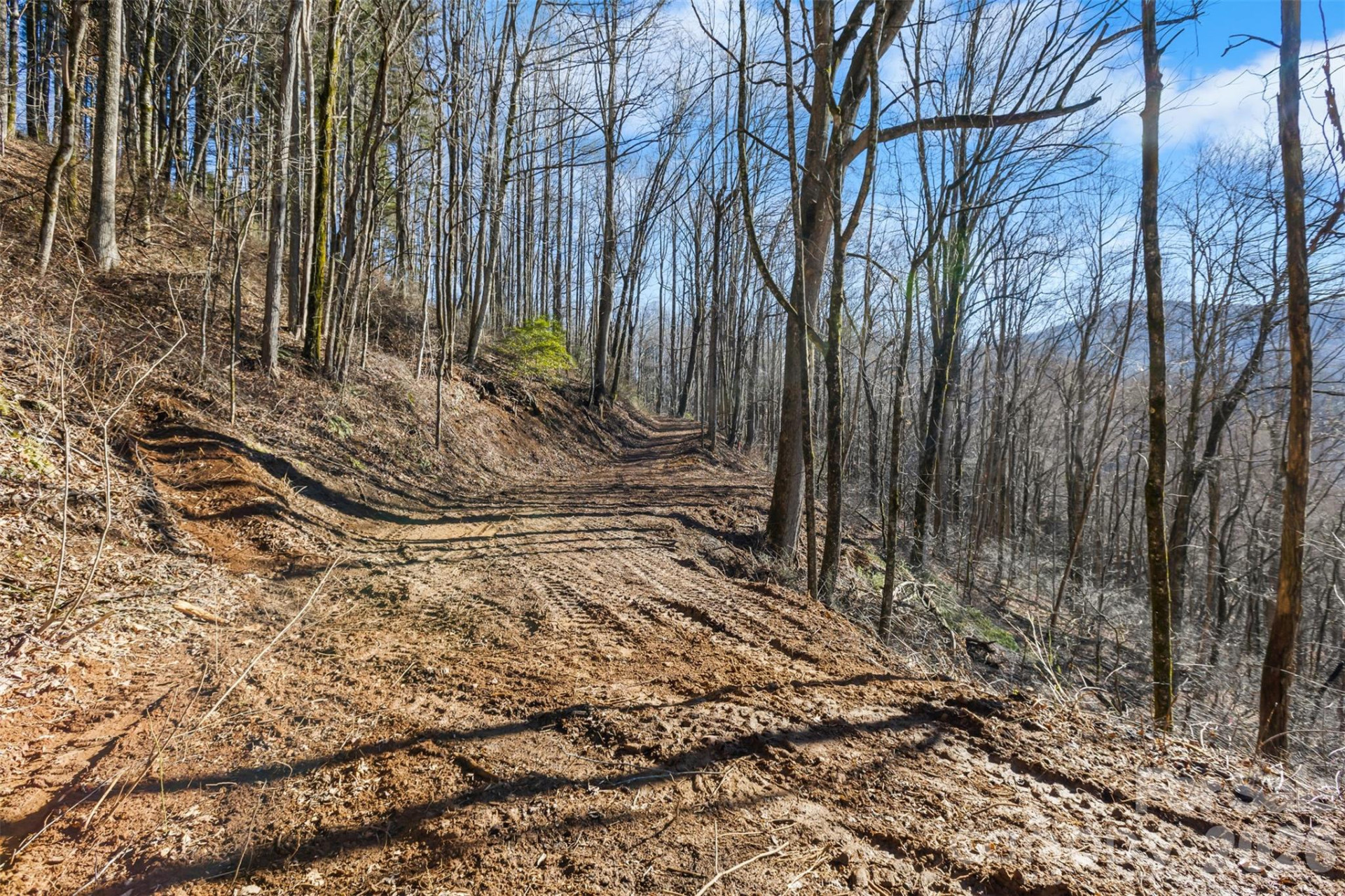 TBD Happy Ridge Lane - Photo 5