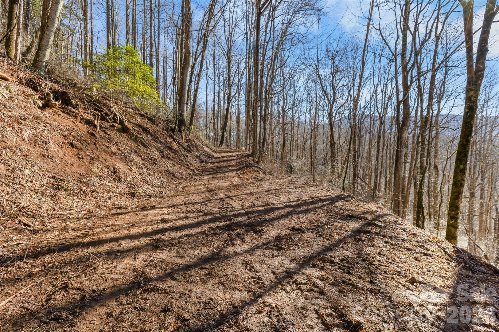 TBD Happy Ridge Lane - Photo 6