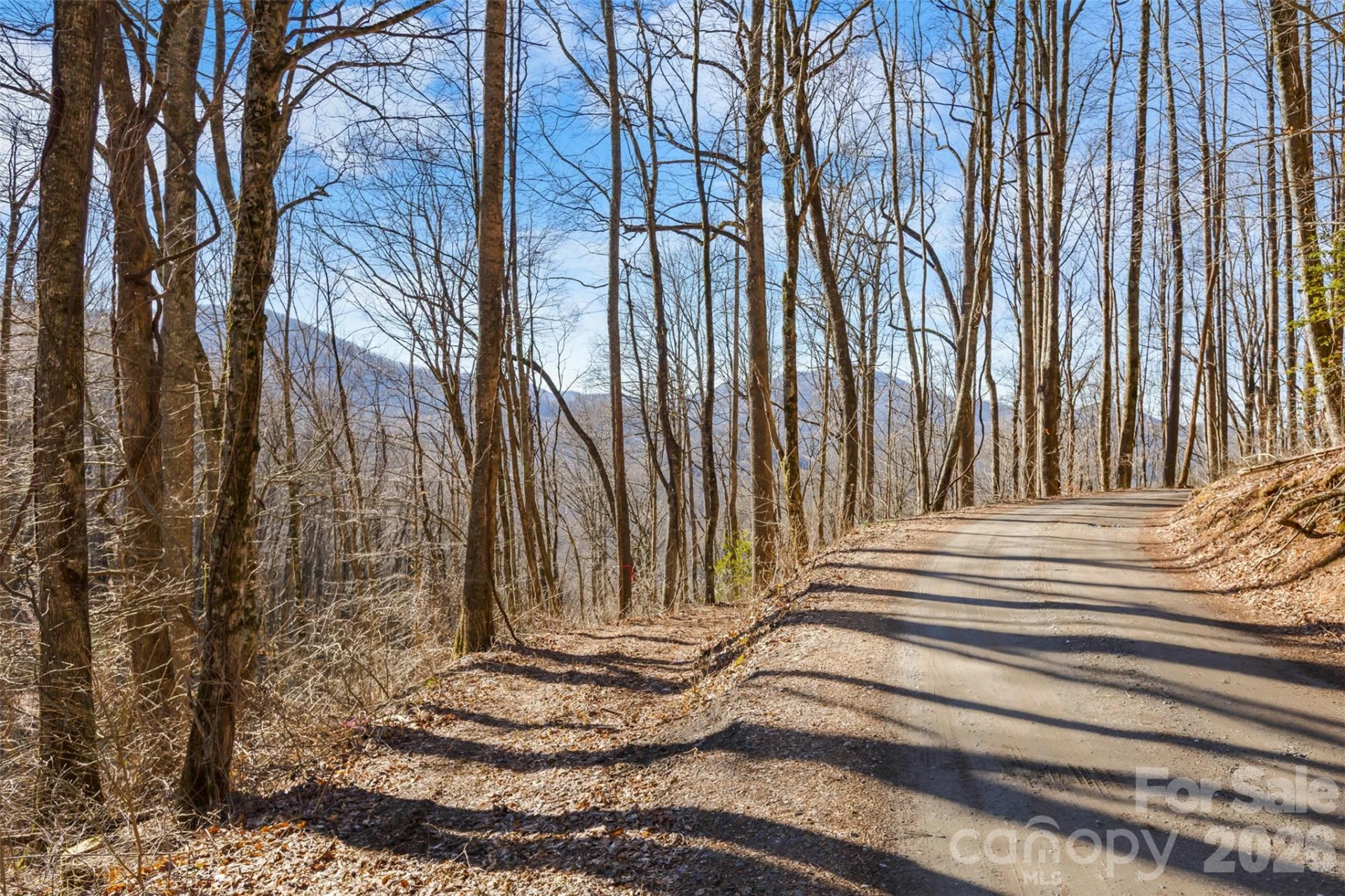 TBD Happy Ridge Lane - Photo 7