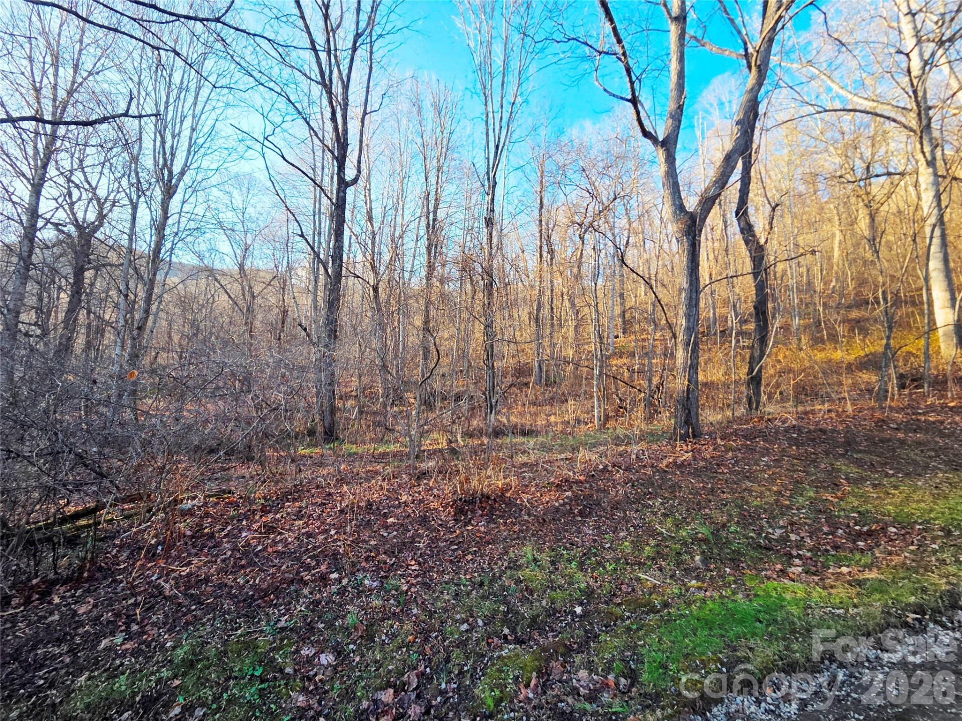 123 Live Oak Loop #29