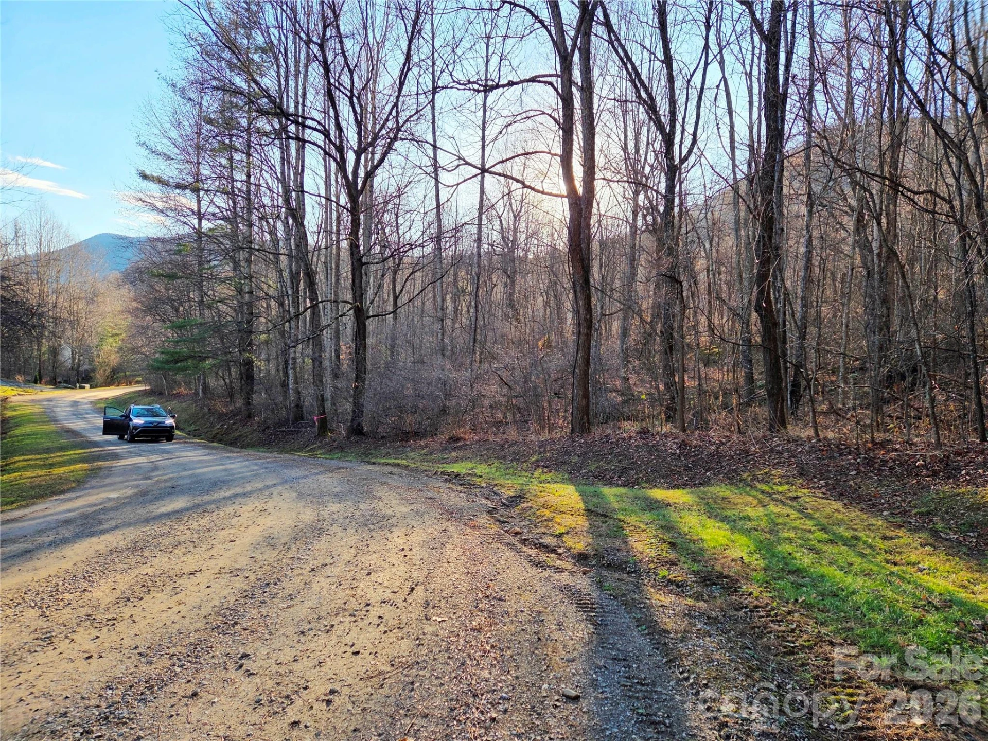 123 Live Oak Loop #29 - Photo 2