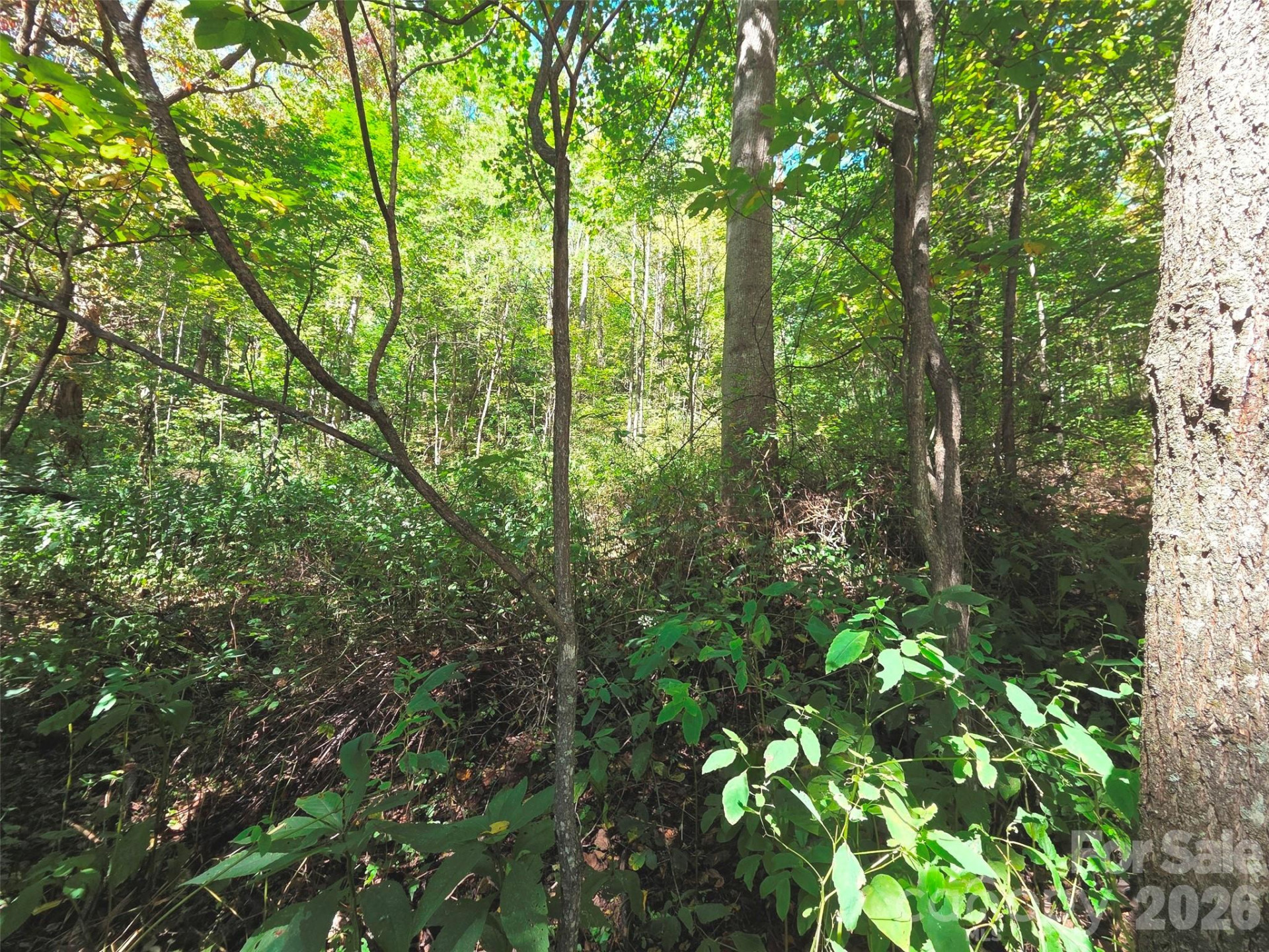 123 Live Oak Loop #29 - Photo 11