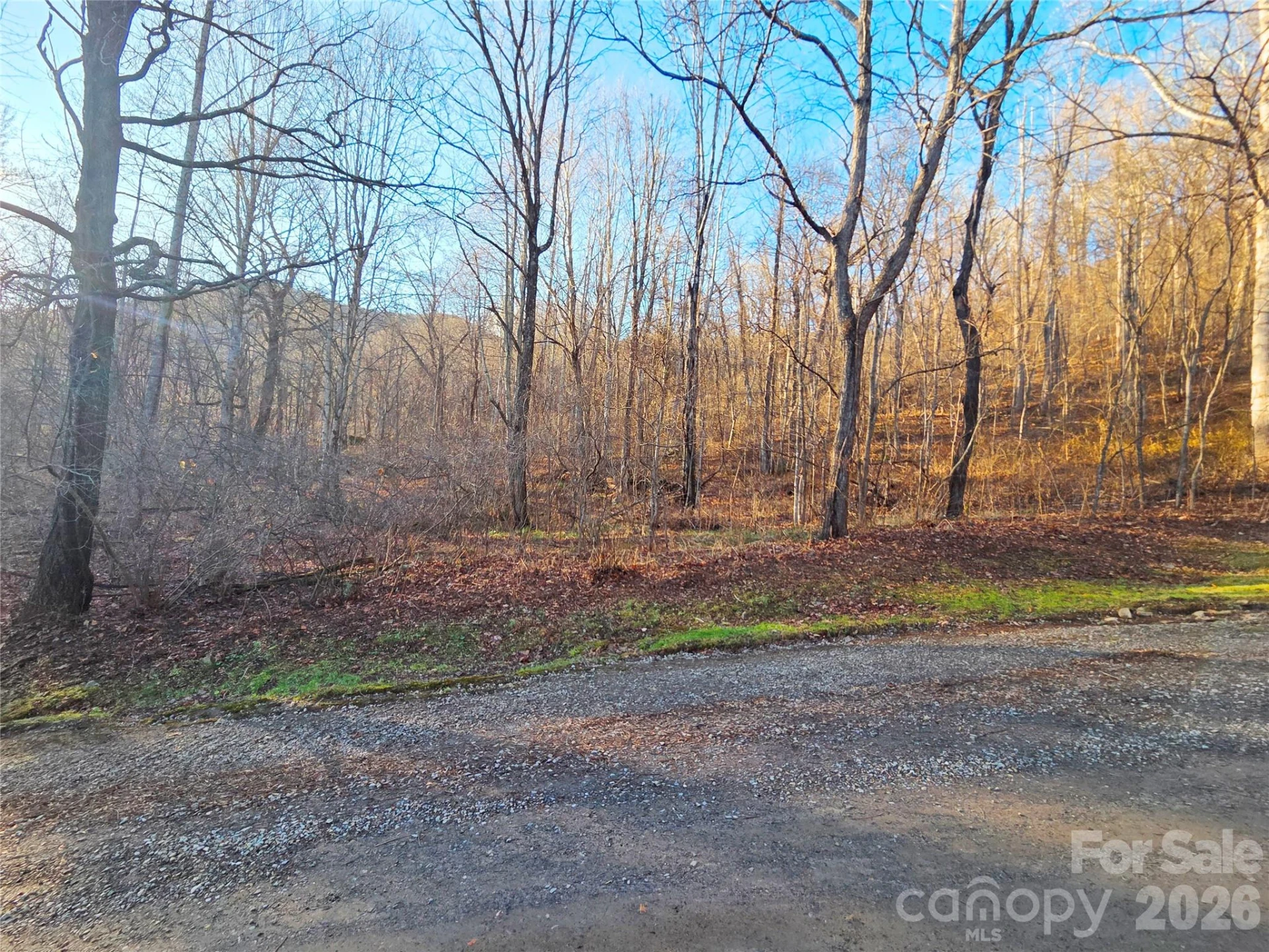 123 Live Oak Loop #29 - Photo 12