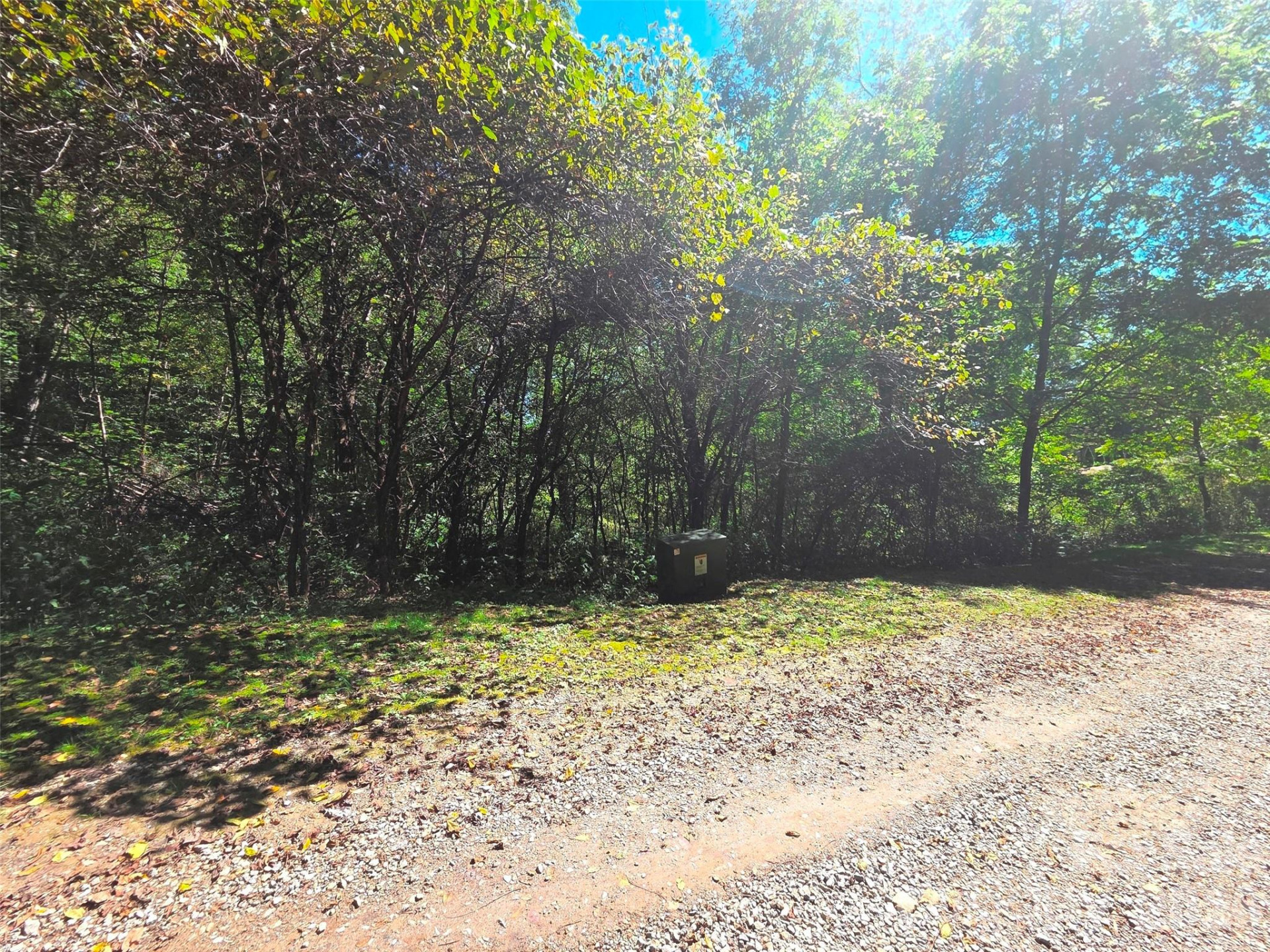 123 Live Oak Loop #29 - Photo 13