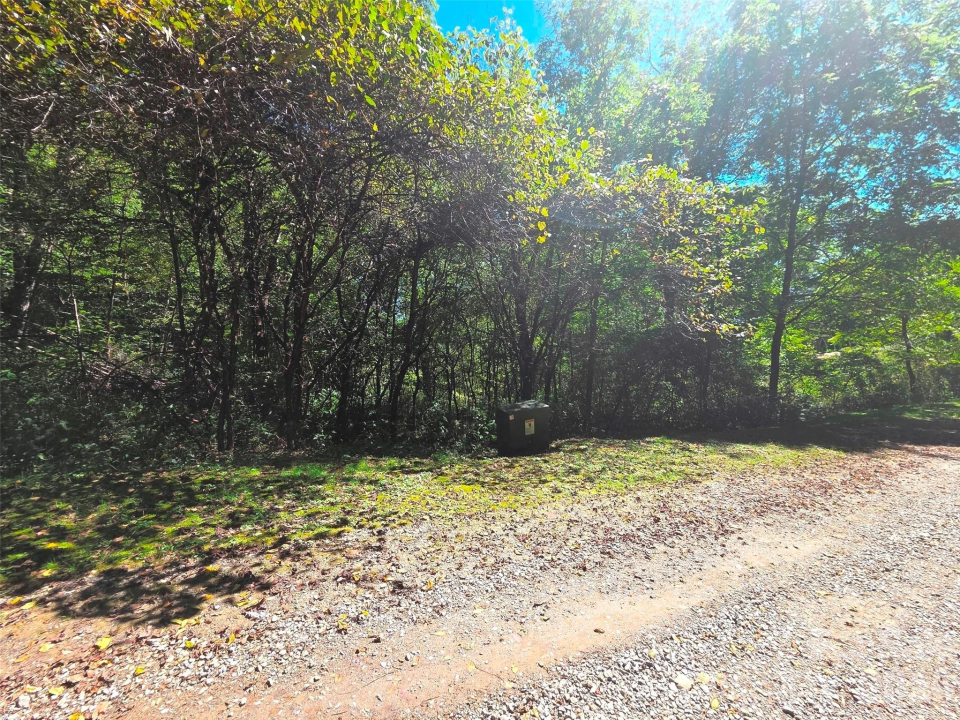 123 Live Oak Loop #29 - Photo 13