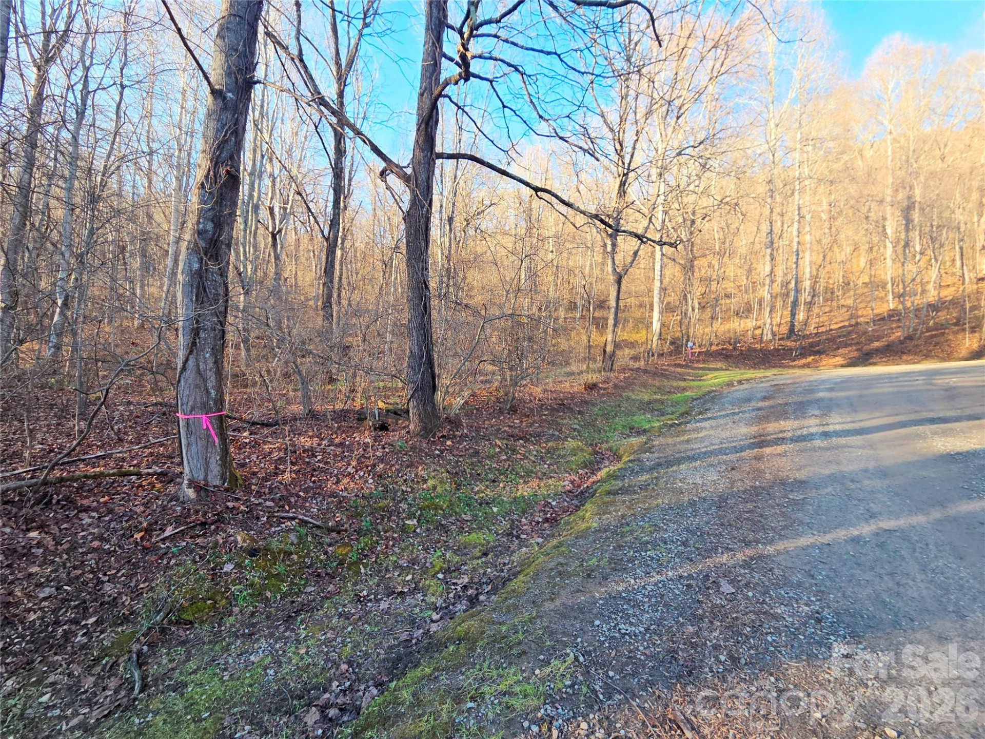 123 Live Oak Loop #29 - Photo 14