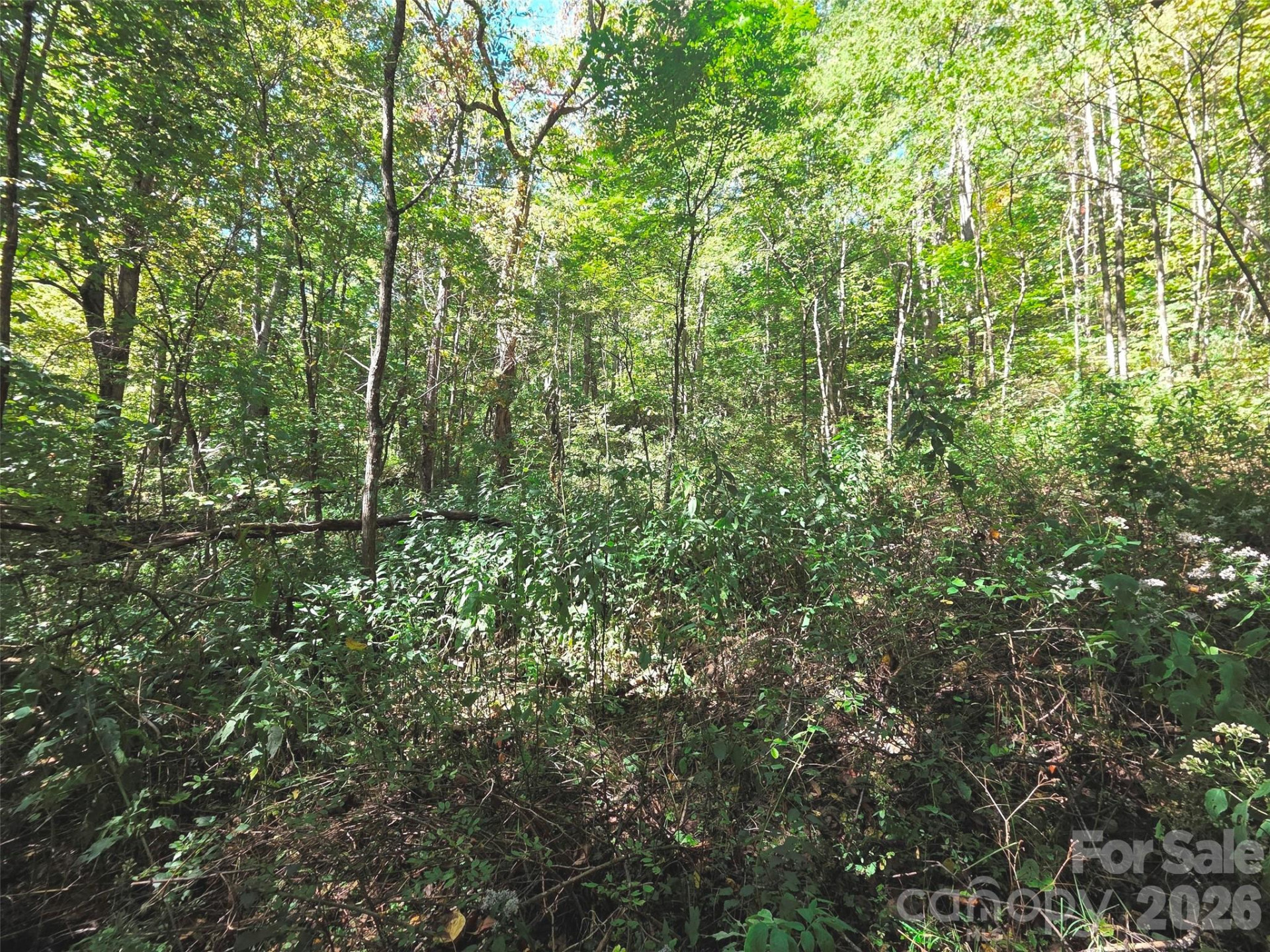 123 Live Oak Loop #29 - Photo 15