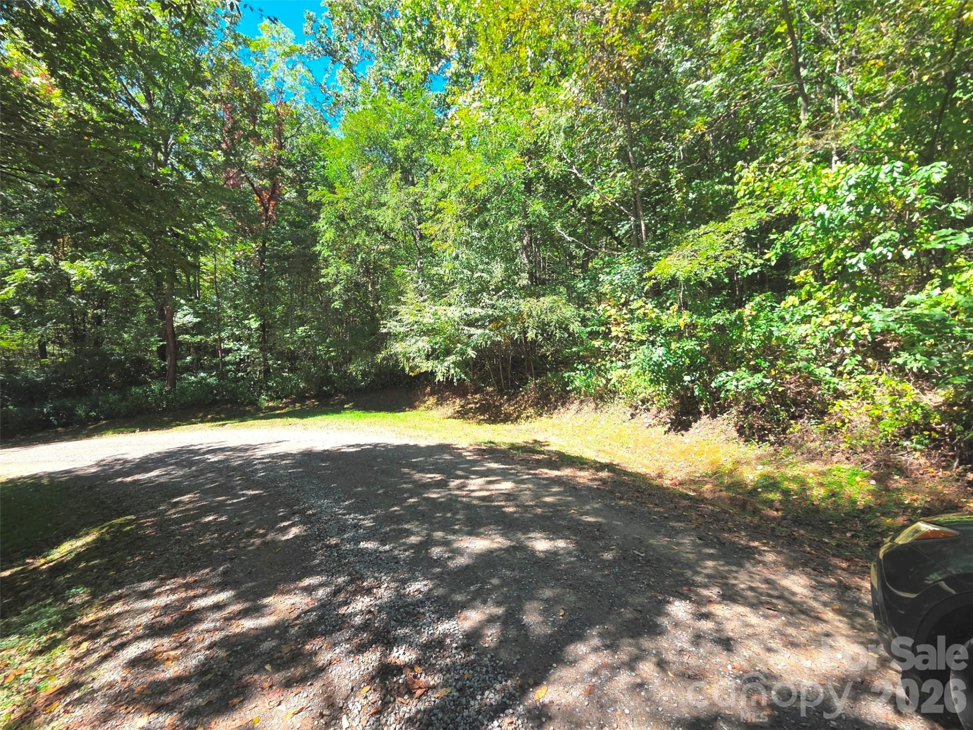 123 Live Oak Loop #29 - Photo 16