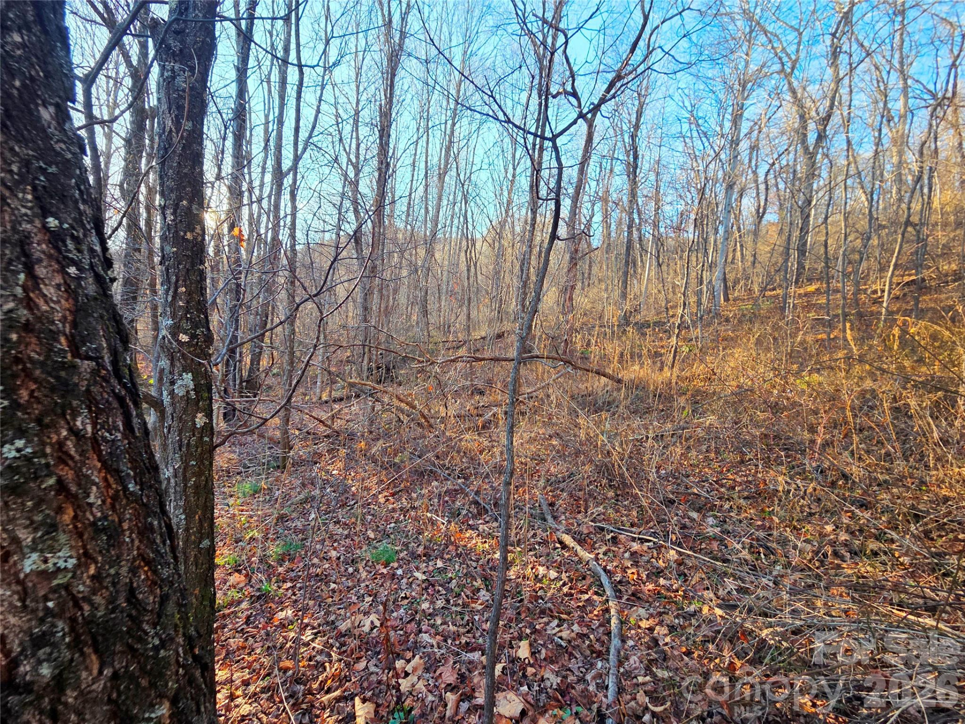 123 Live Oak Loop #29 - Photo 17