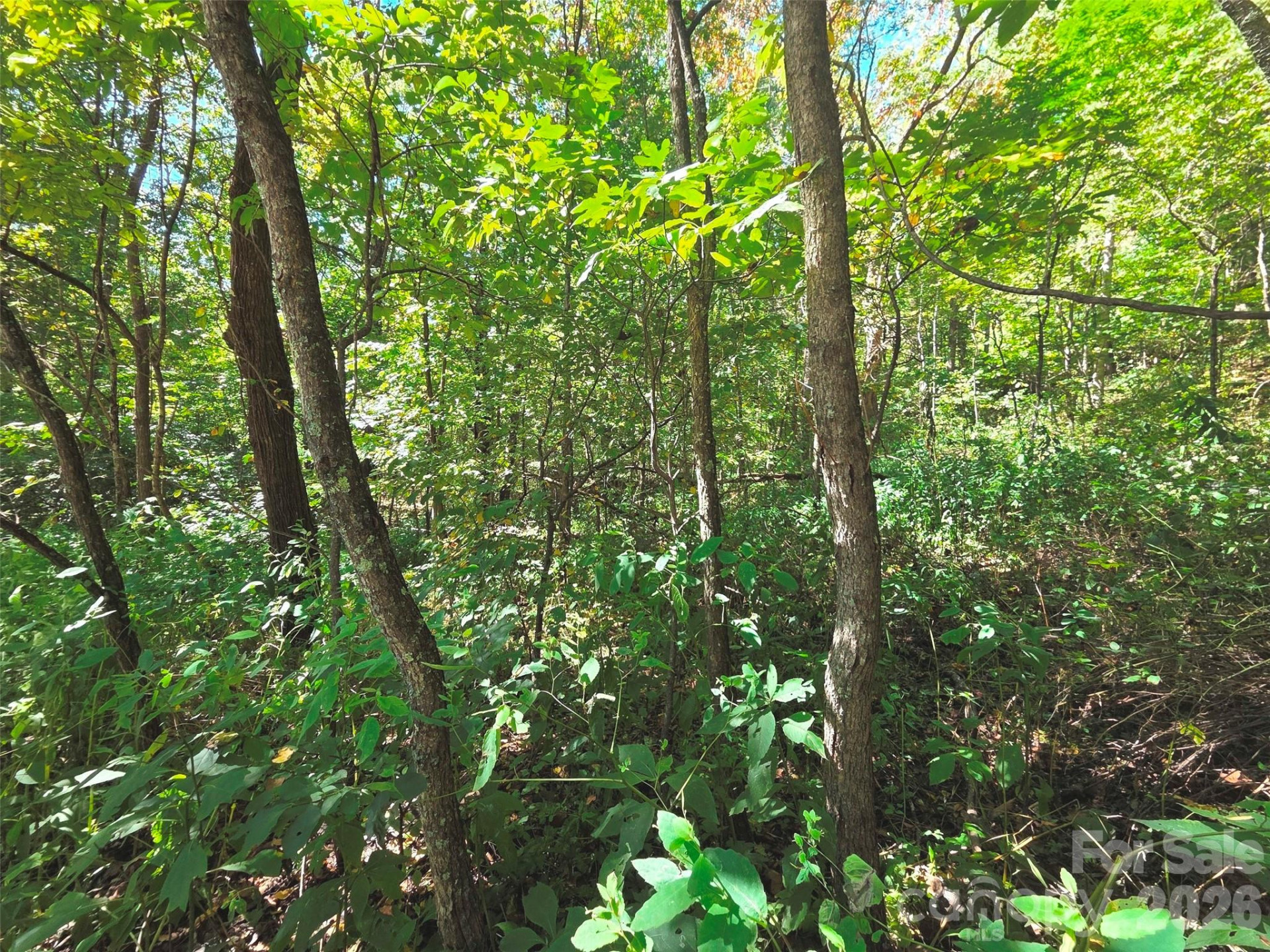 123 Live Oak Loop #29 - Photo 18