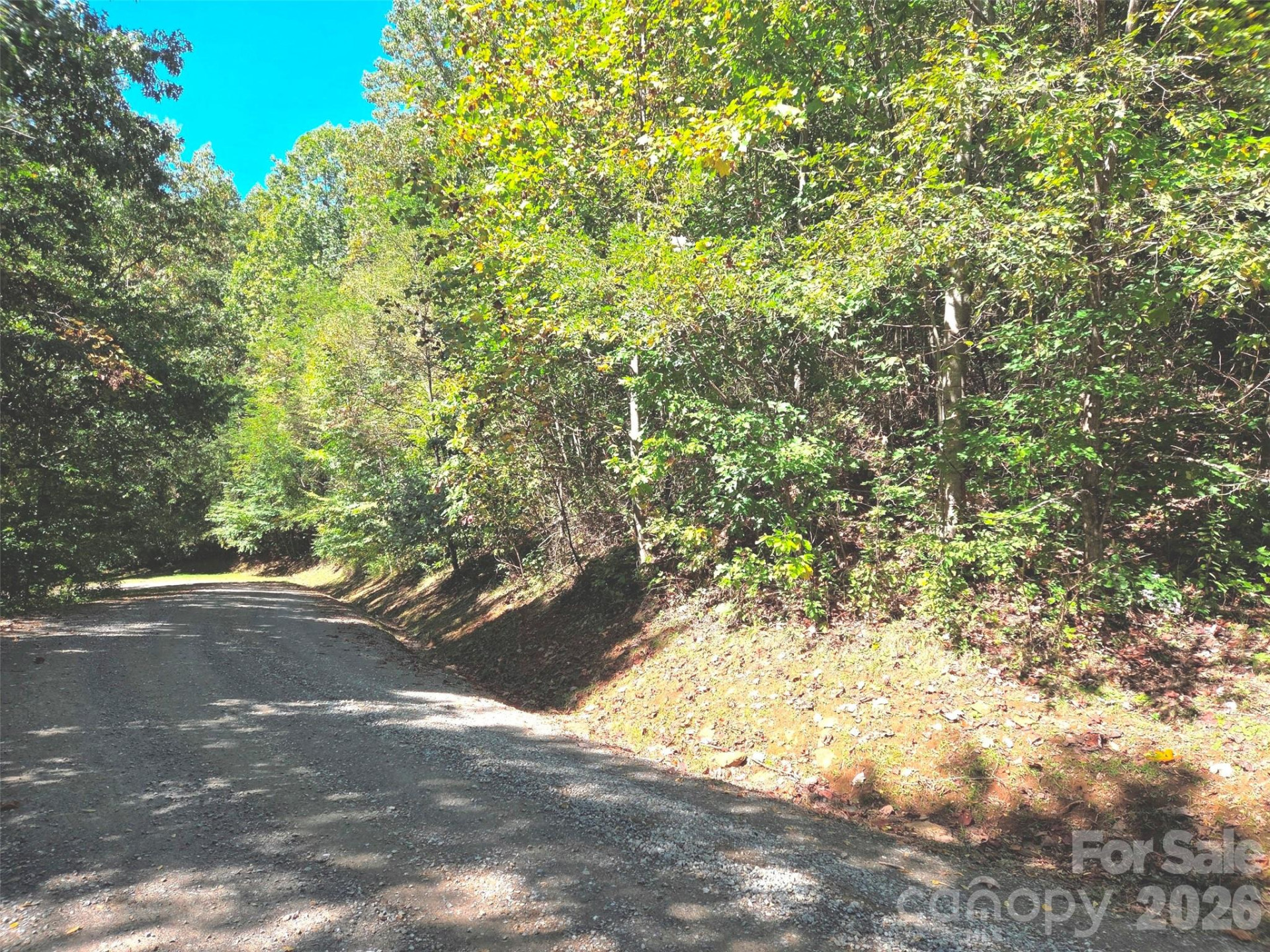 123 Live Oak Loop #29 - Photo 19