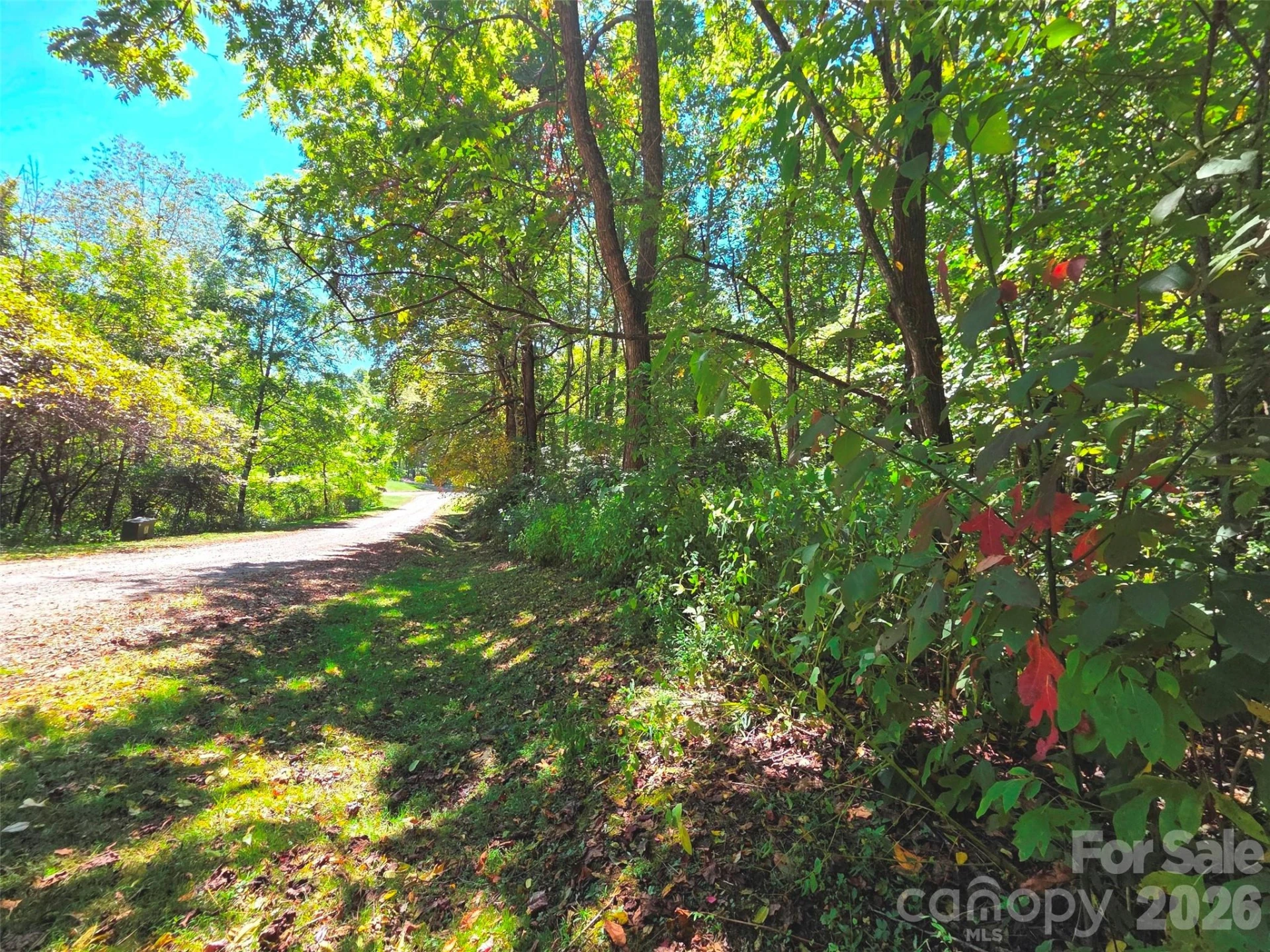 123 Live Oak Loop #29 - Photo 3