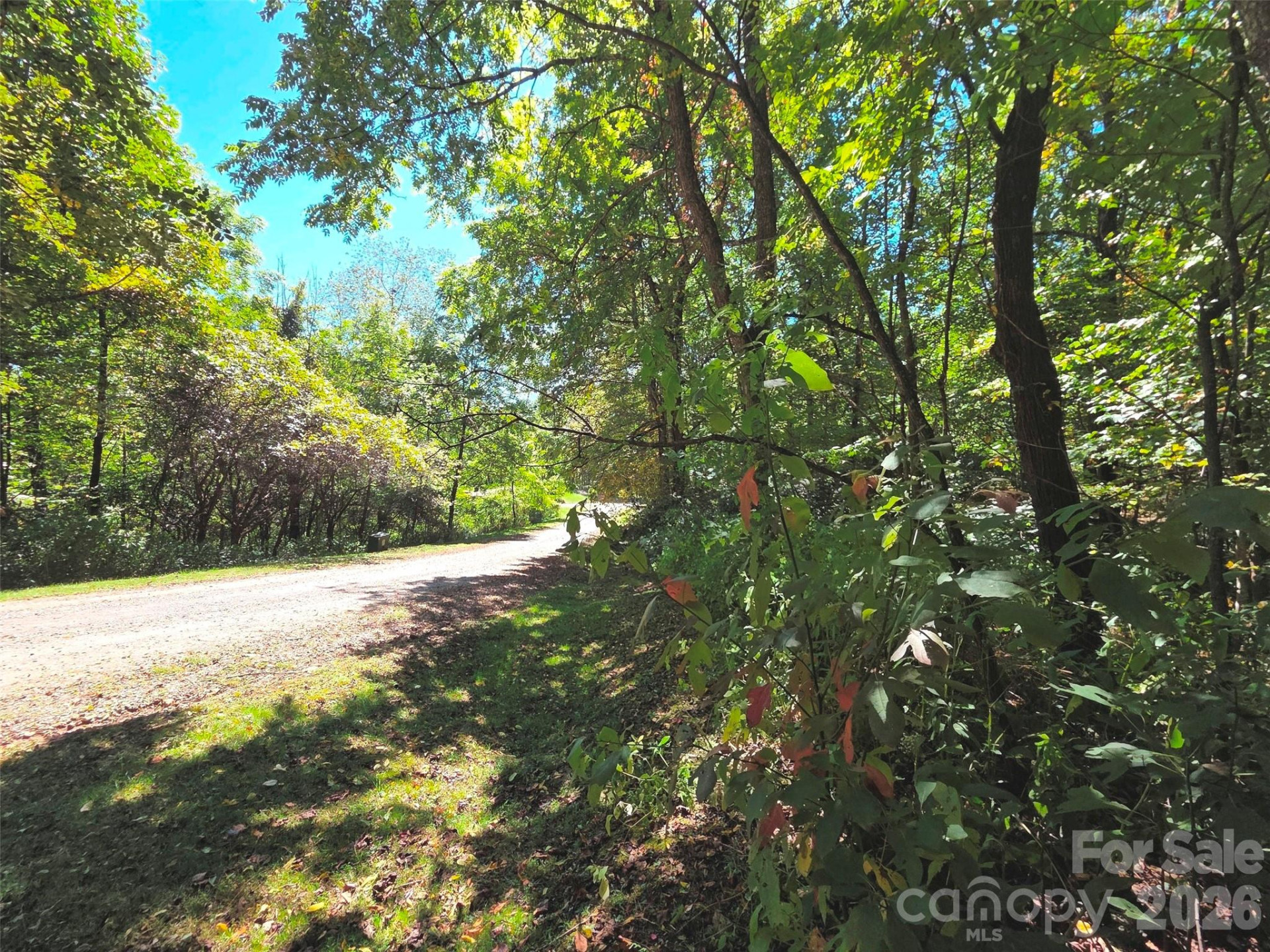 123 Live Oak Loop #29 - Photo 5