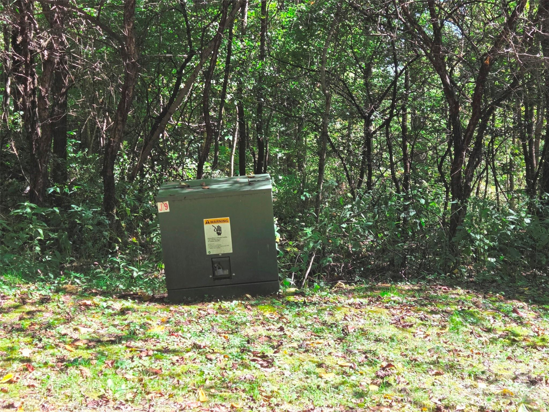 123 Live Oak Loop #29 - Photo 6