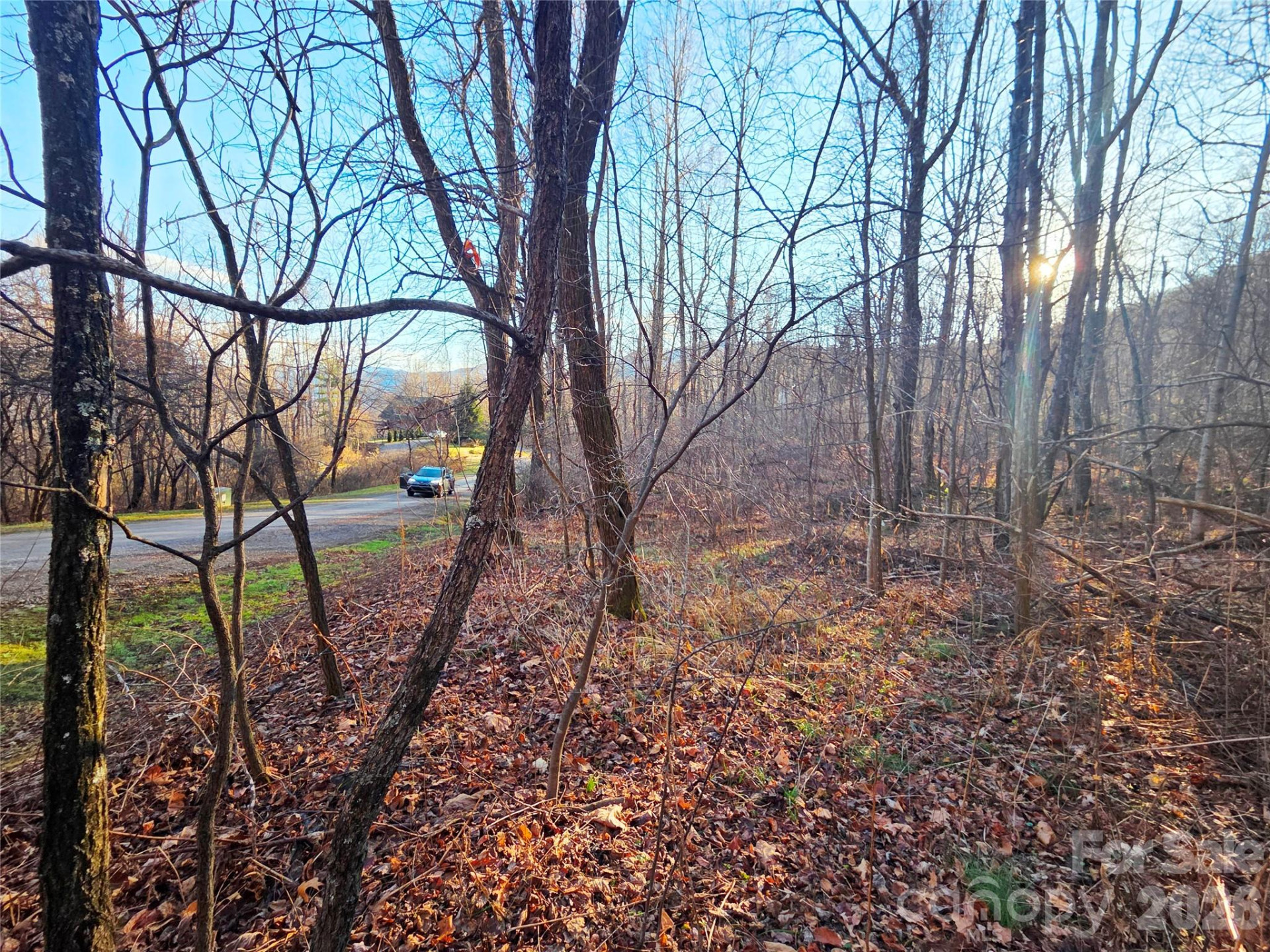 123 Live Oak Loop #29 - Photo 8