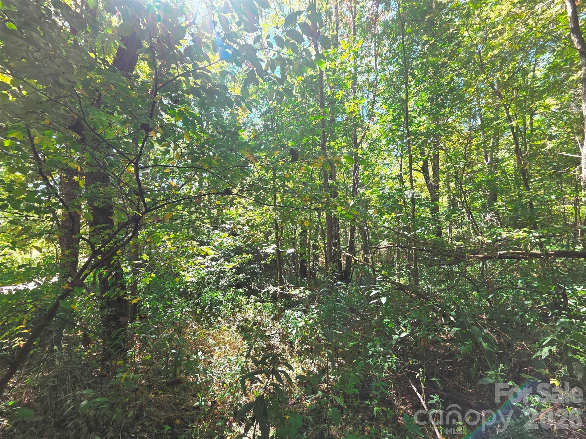 123 Live Oak Loop #29 - Photo 9