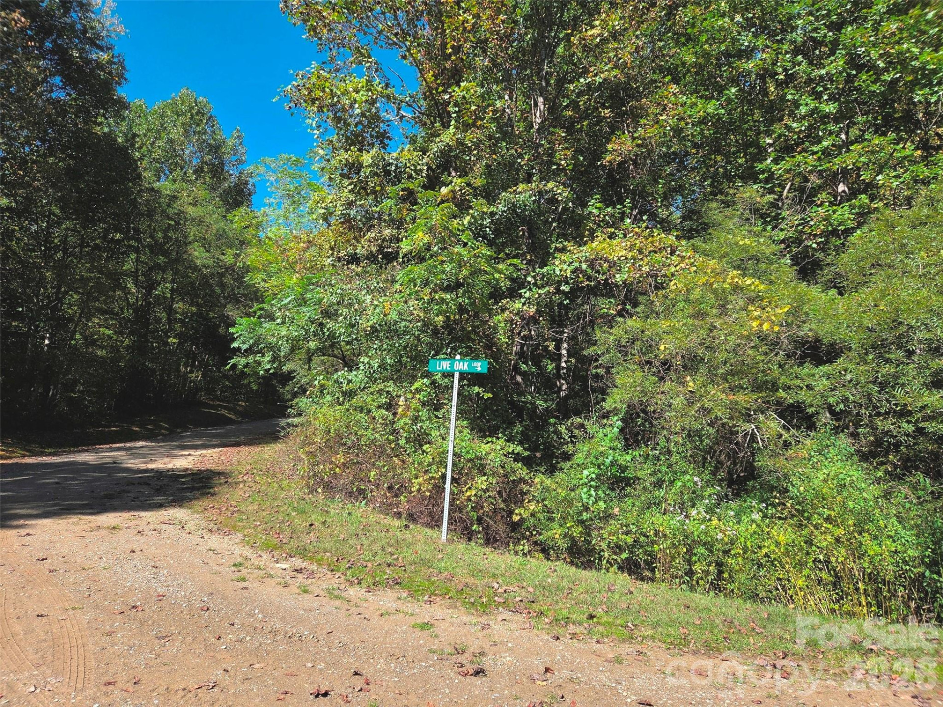 123 Live Oak Loop #29 - Photo 10