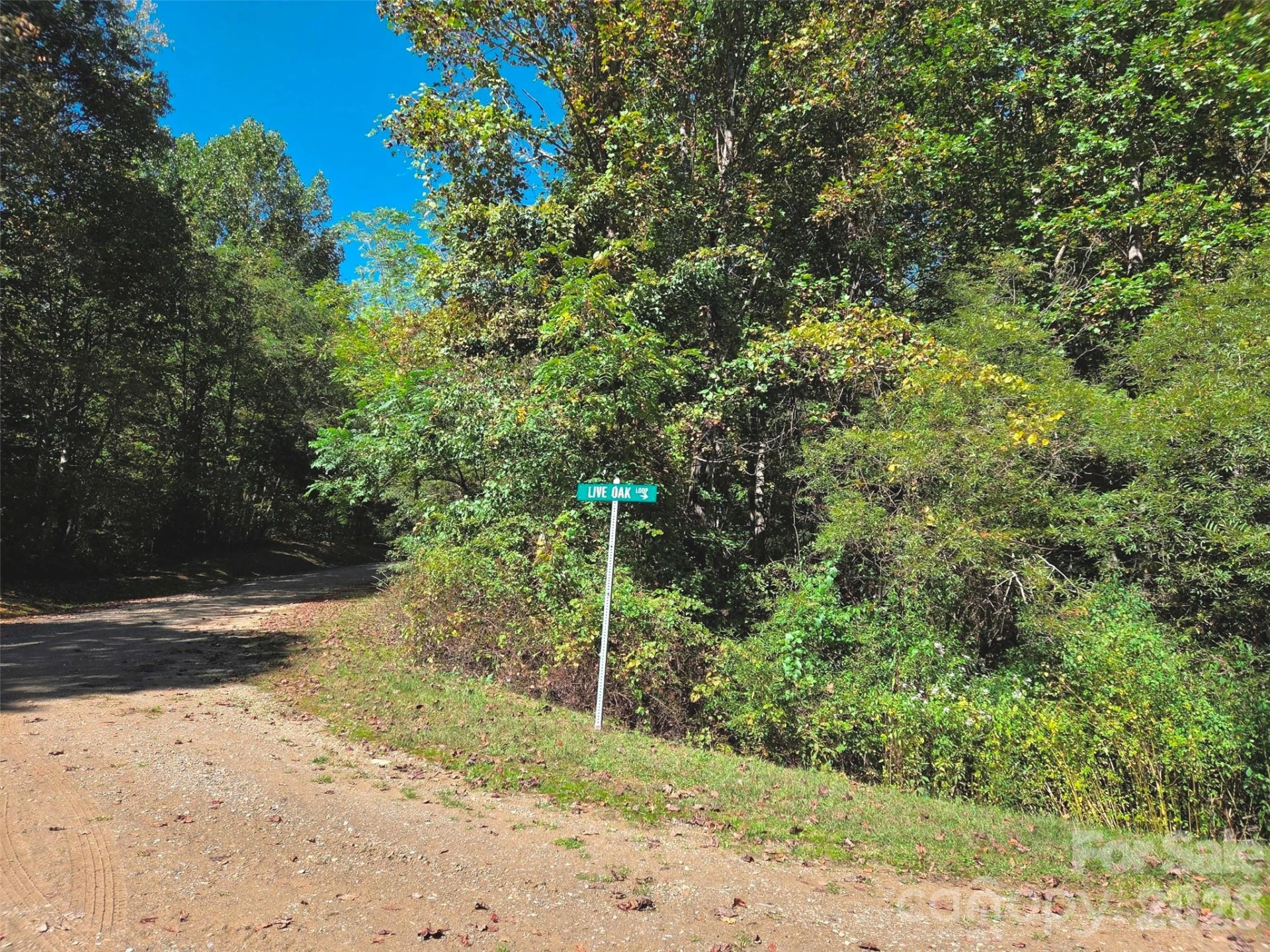 123 Live Oak Loop #29 - Photo 10