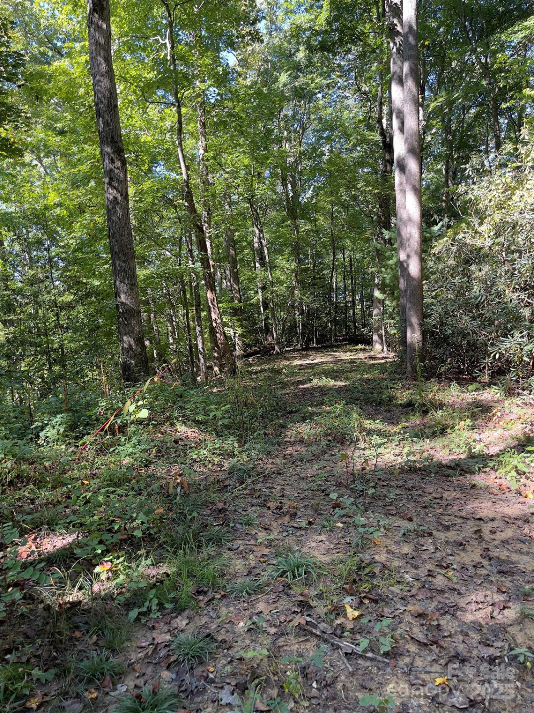 0 Empress Lane - Photo 2