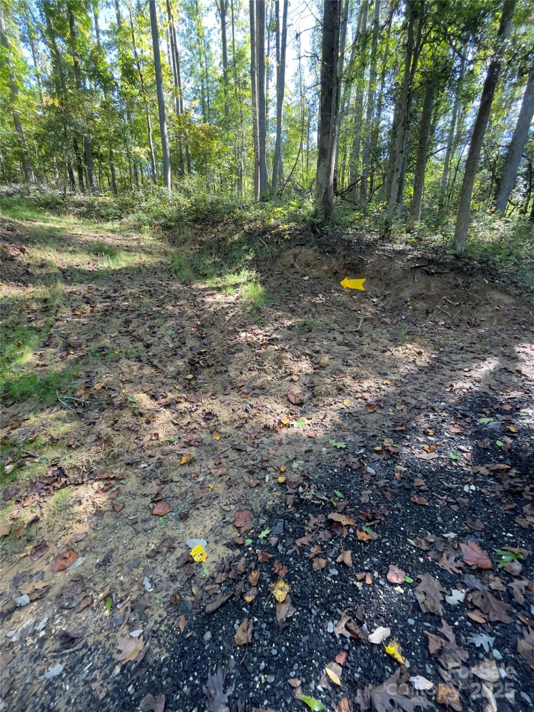 0 Empress Lane - Photo 11