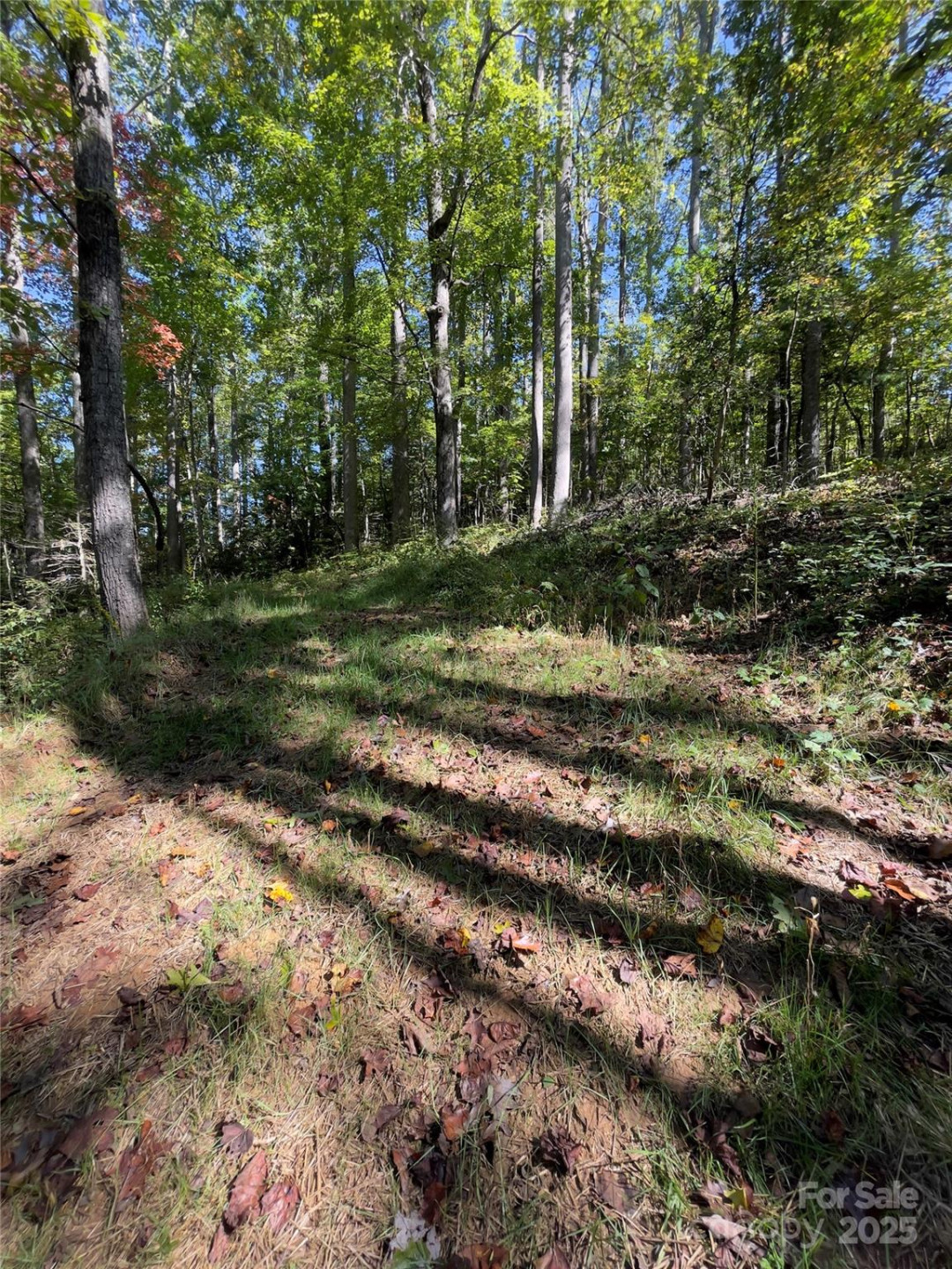 0 Empress Lane - Photo 12