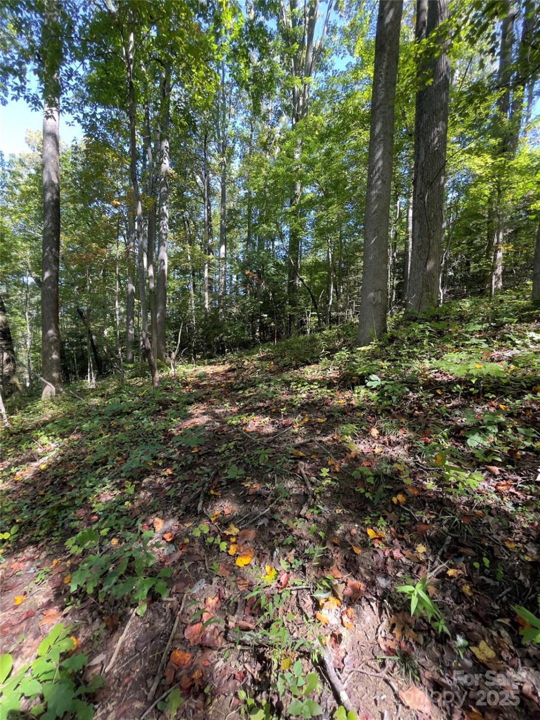 0 Empress Lane - Photo 13