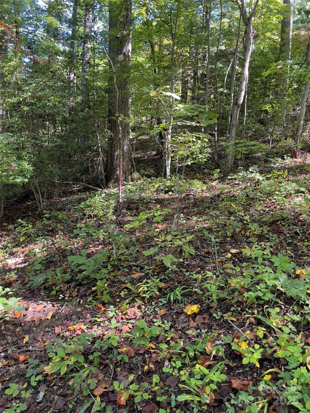 0 Empress Lane - Photo 14