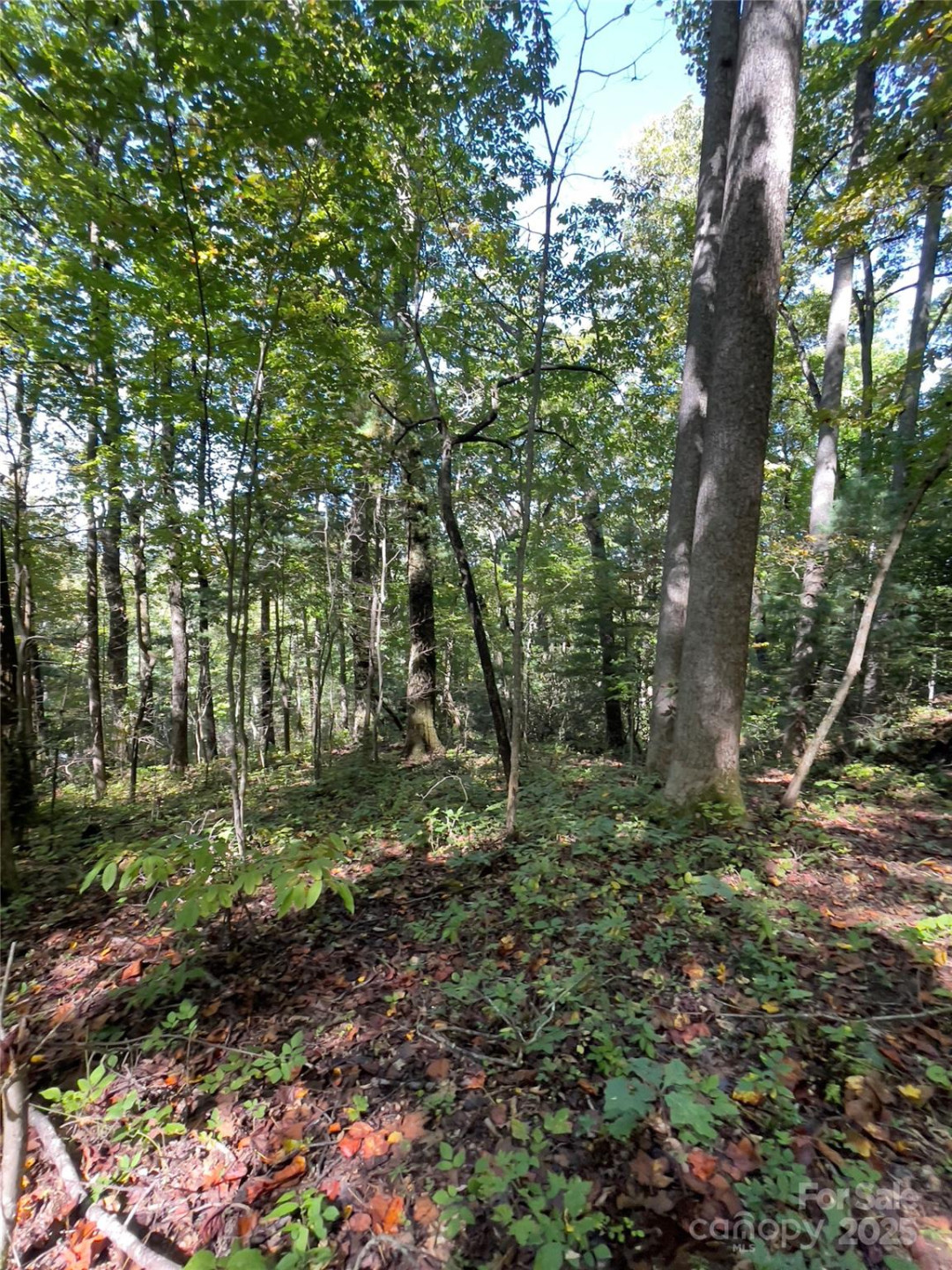 0 Empress Lane - Photo 16