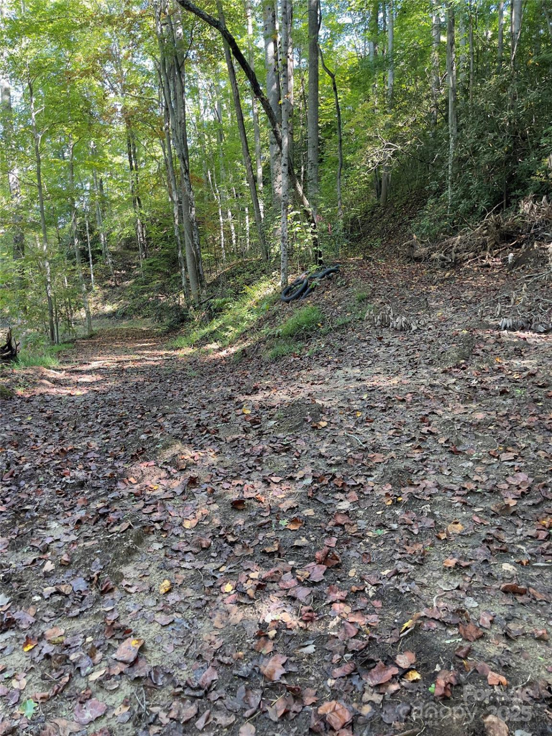 0 Empress Lane - Photo 19