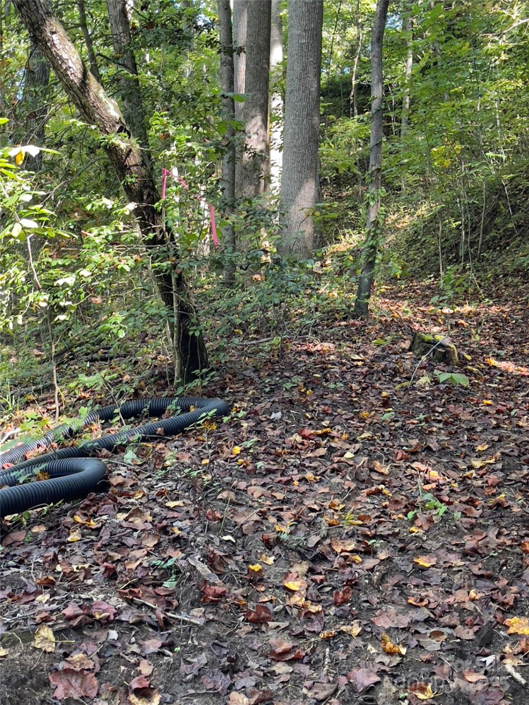 0 Empress Lane - Photo 20